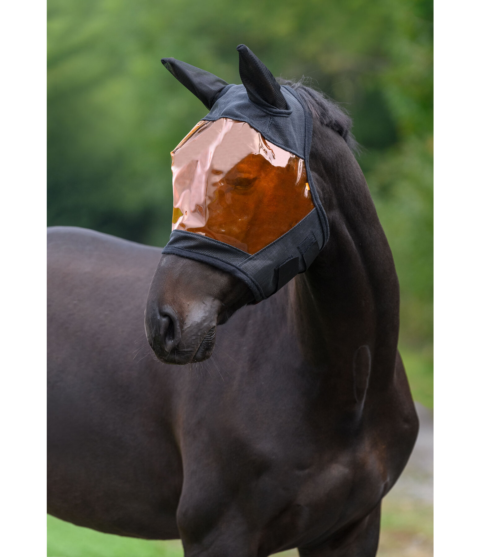 Fly Mask Clear View Sunshade with UV protection 80+