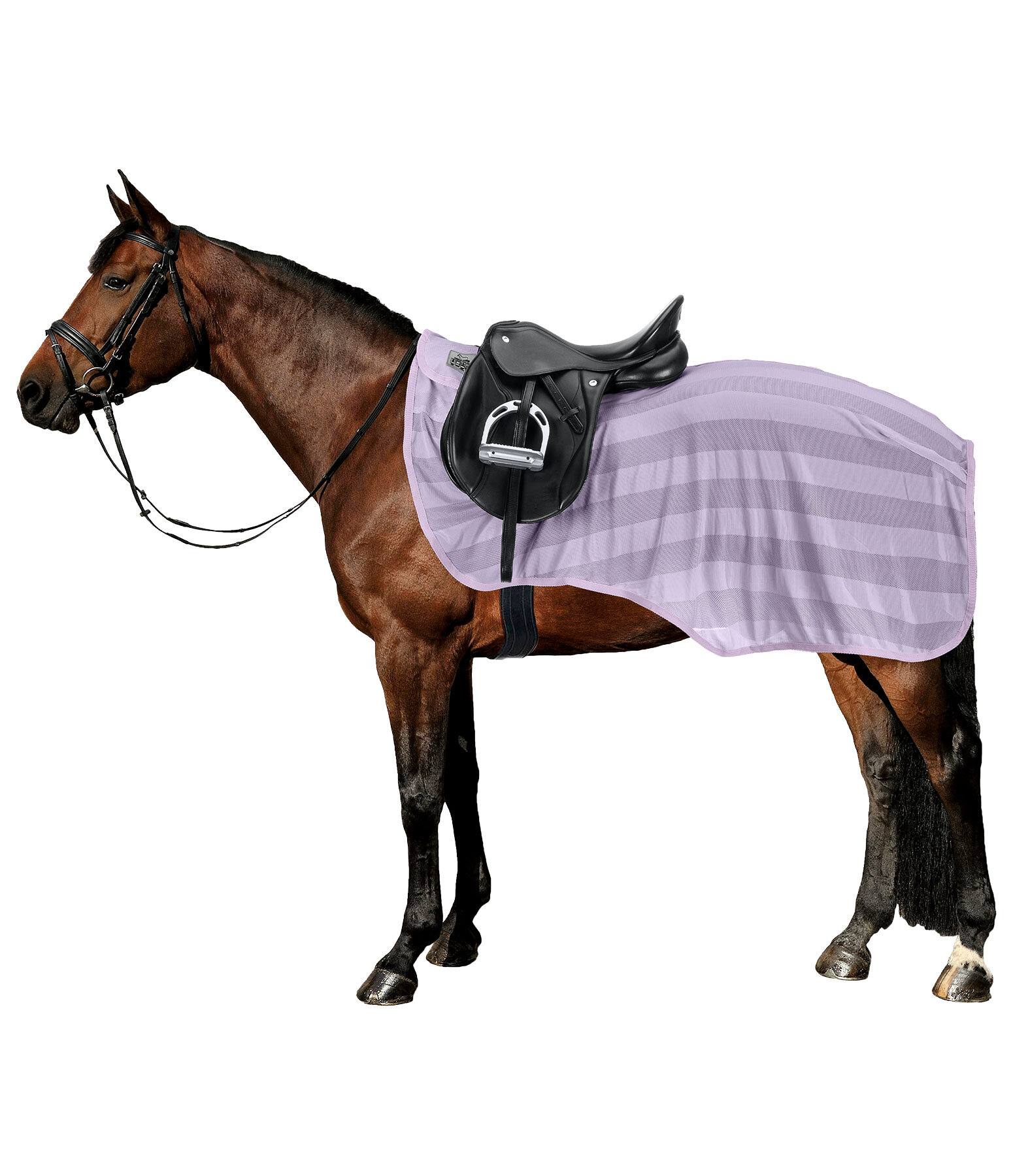 Fly Exercise Rug Economy Light