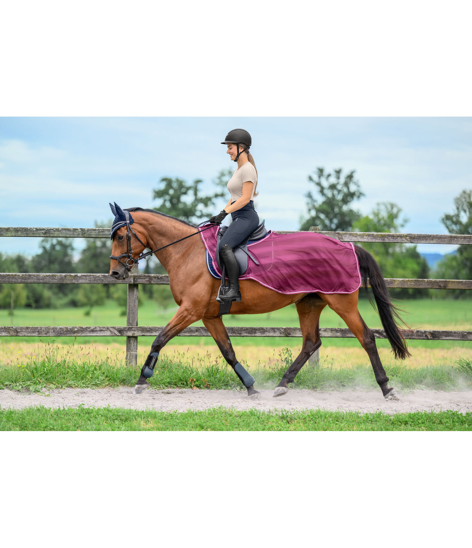 Fly Exercise Rug Economy Light