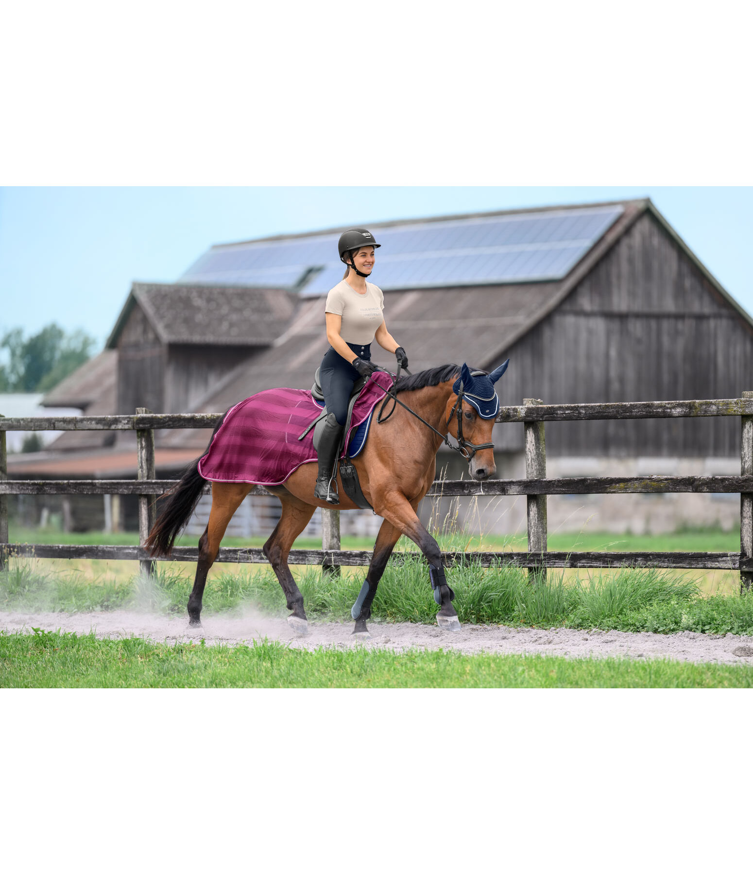Fly Exercise Rug Economy Light