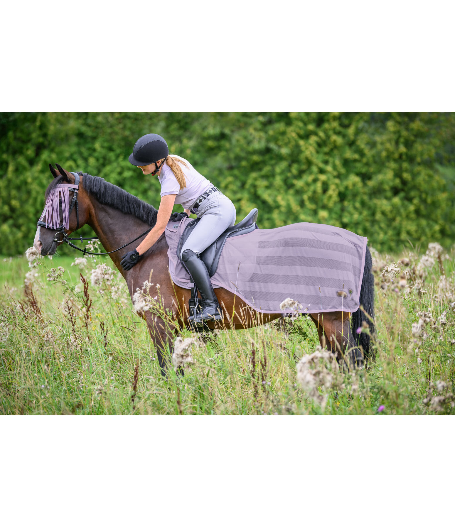 Fly Exercise Rug Economy Light