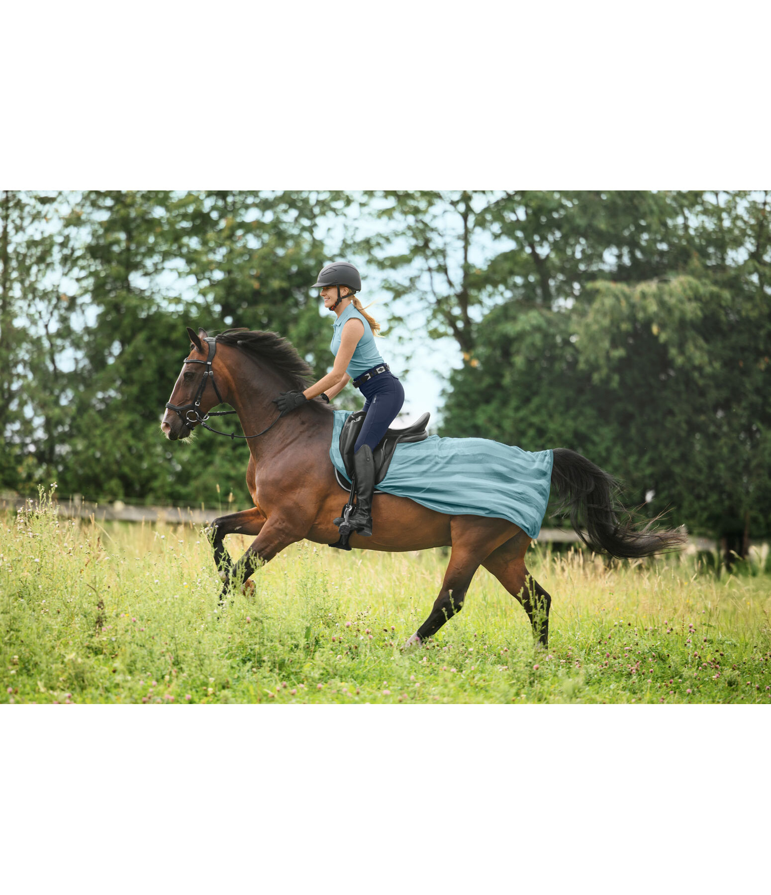 Fly Exercise Rug Economy Light
