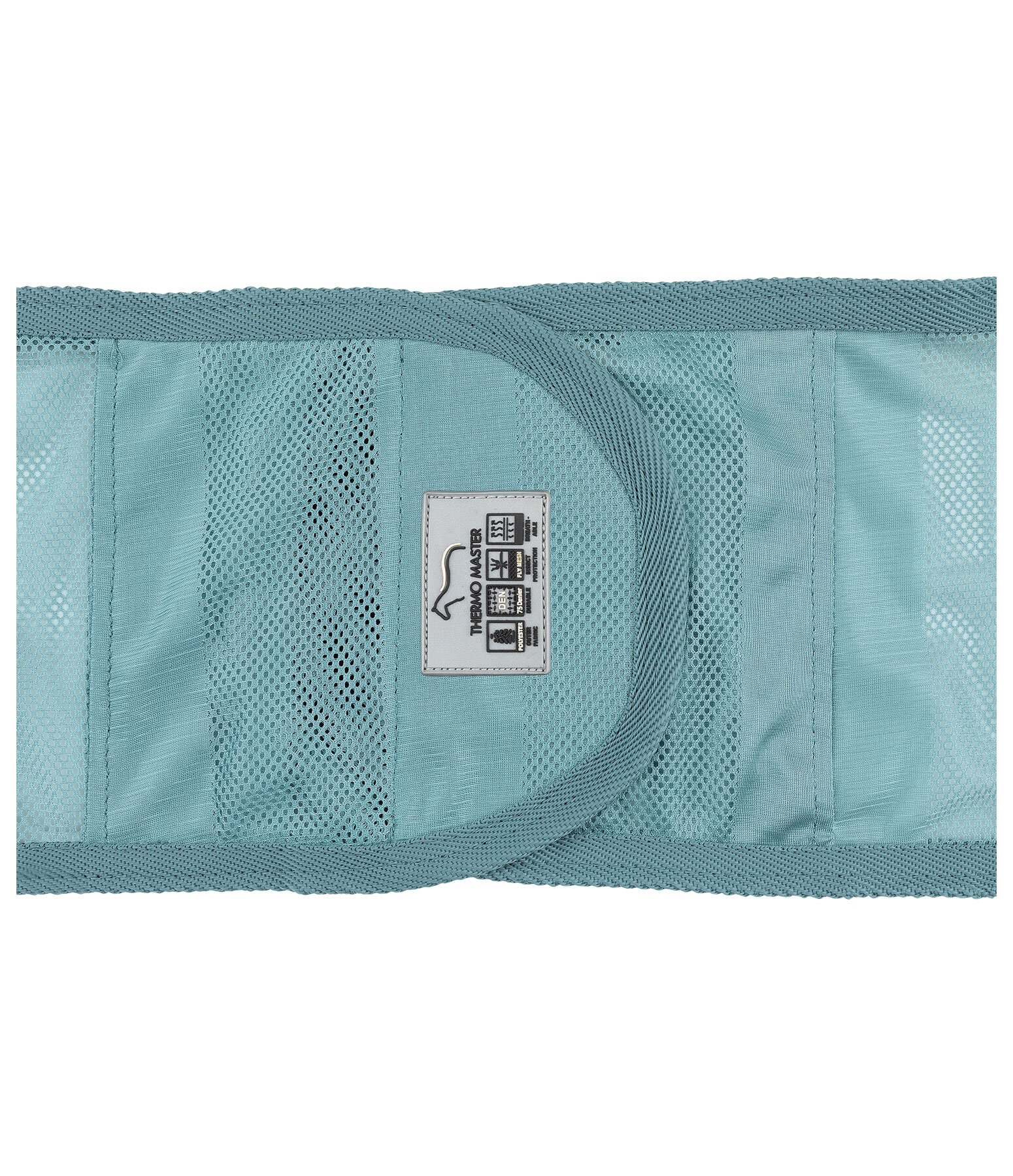 Fly Exercise Rug Economy Light
