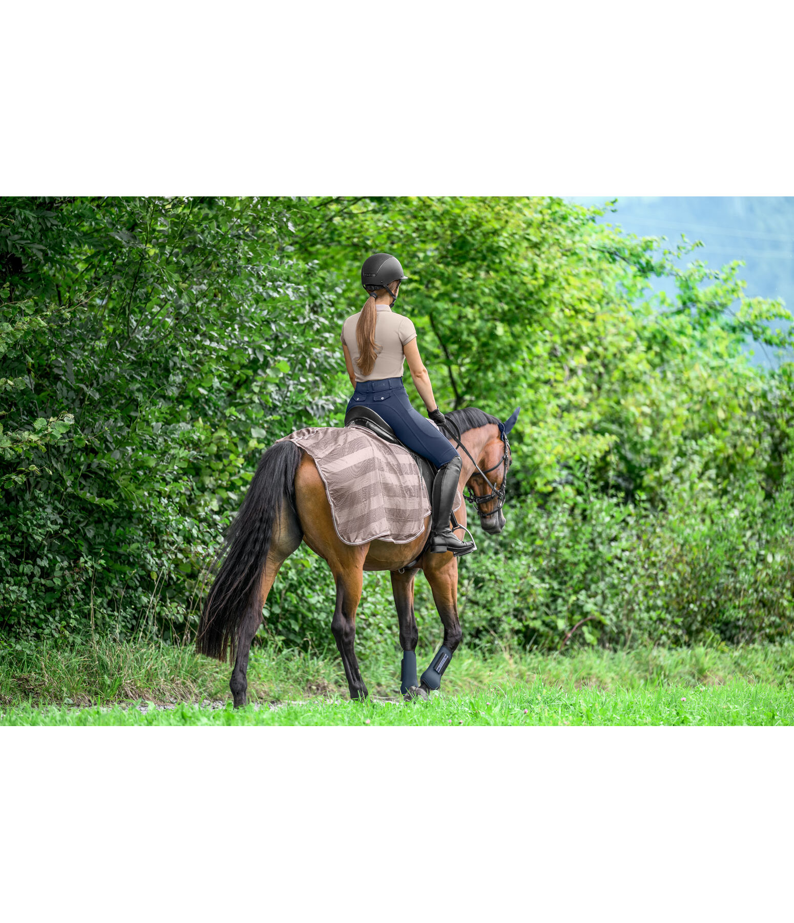 Fly Exercise Rug Economy Light