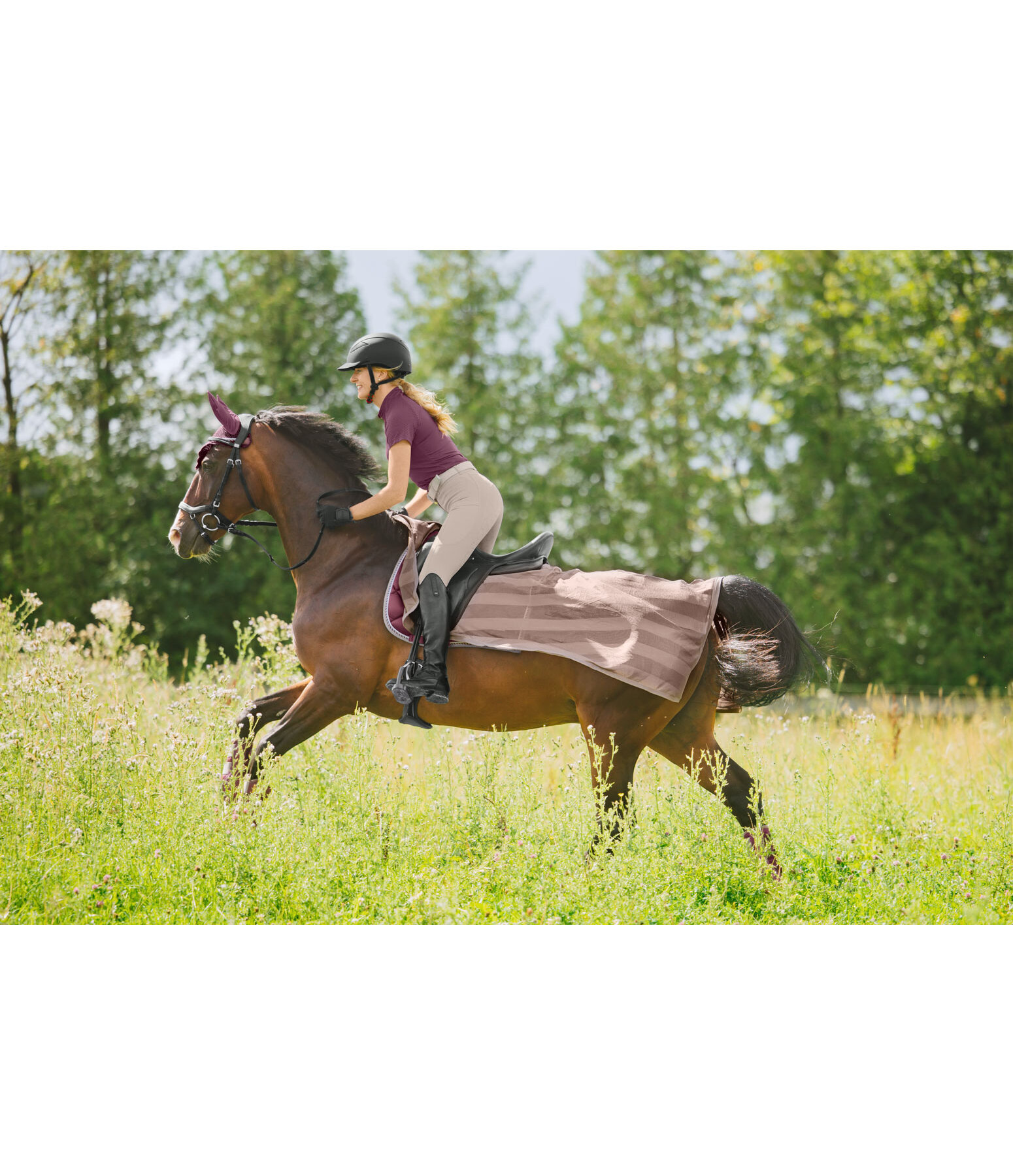 Fly Exercise Rug Economy Light