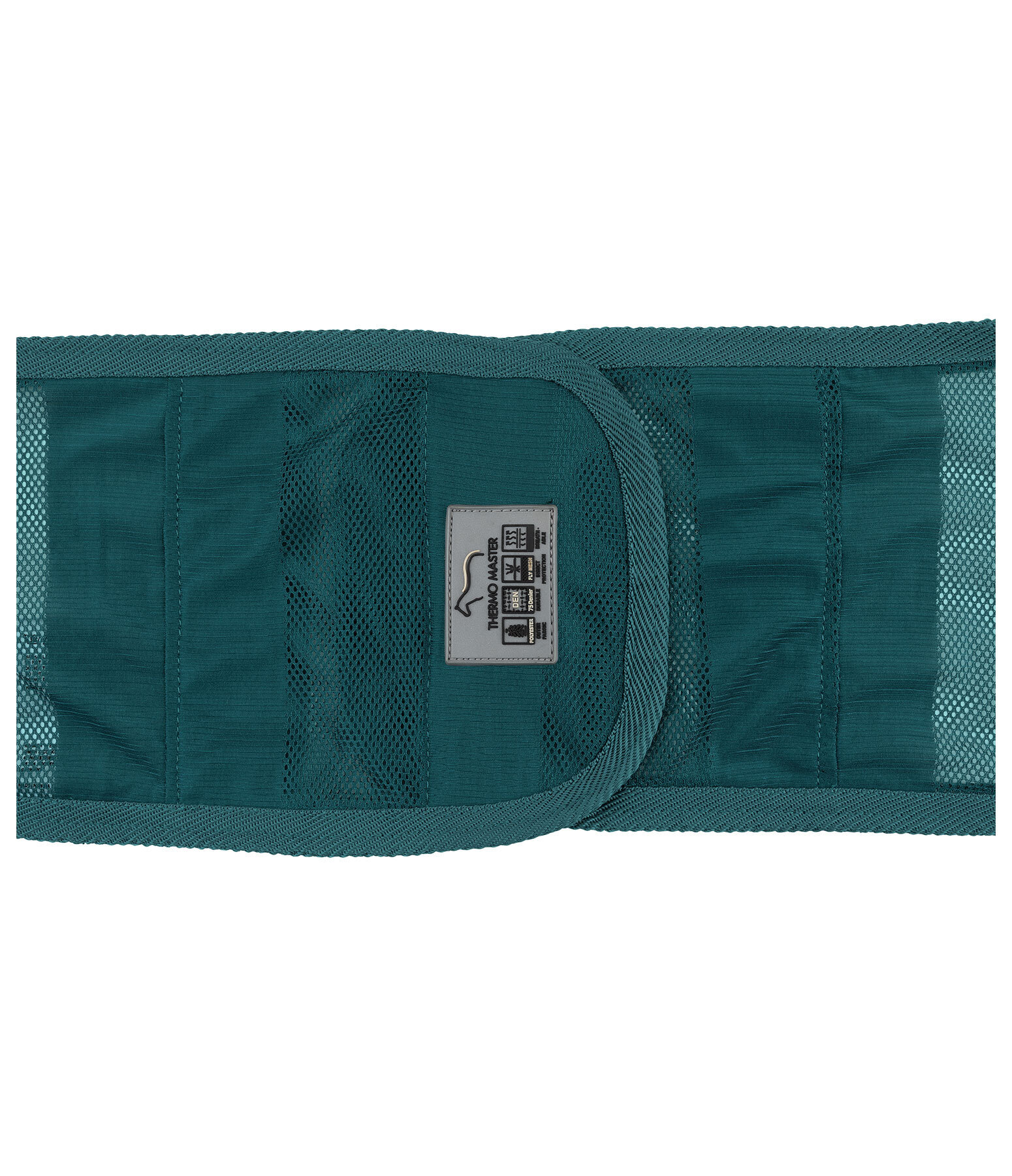 Fly Exercise Rug Economy Light