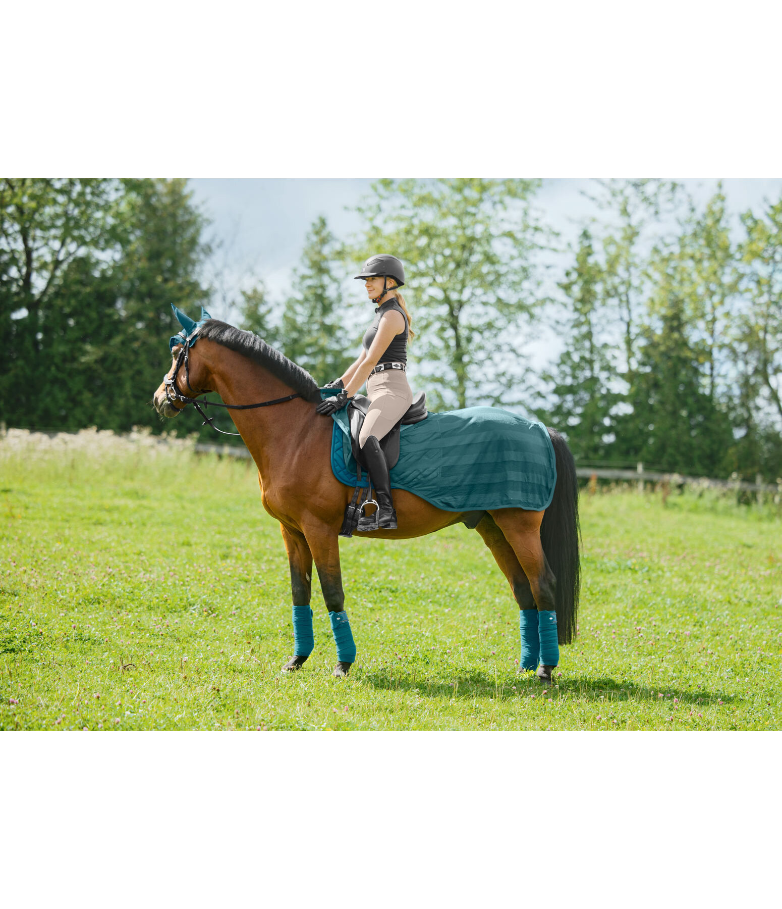 Fly Exercise Rug Economy Light