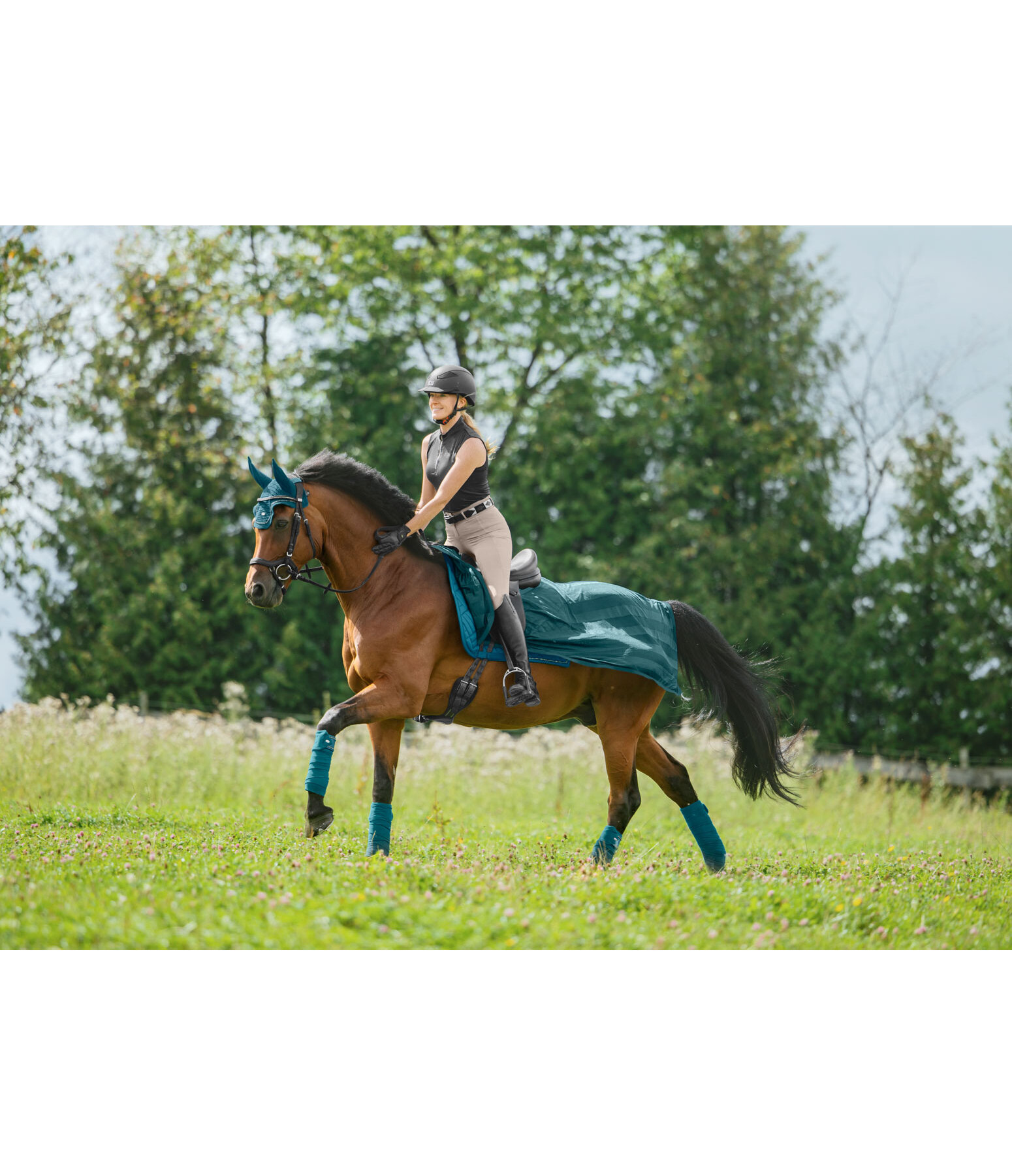 Fly Exercise Rug Economy Light