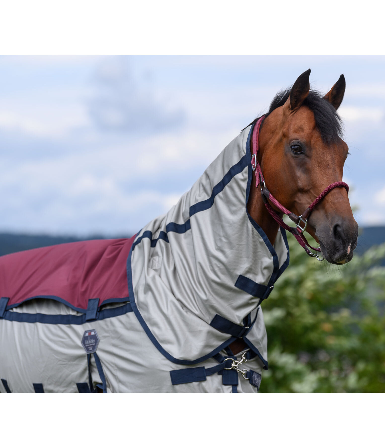 Full Neck Fly Rug All Weather with Soft Shell Insert