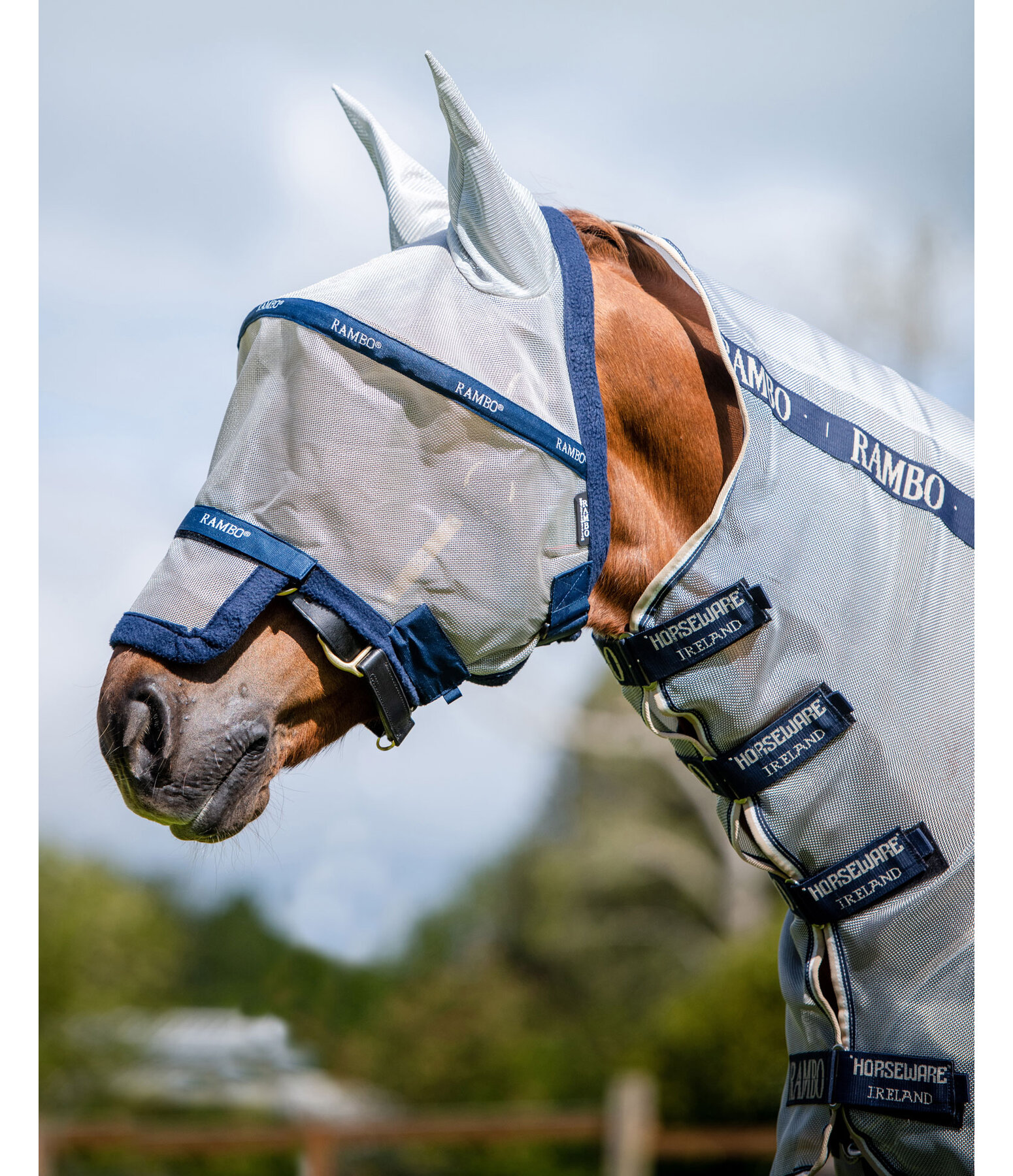 Rambo Plus Fly Mask