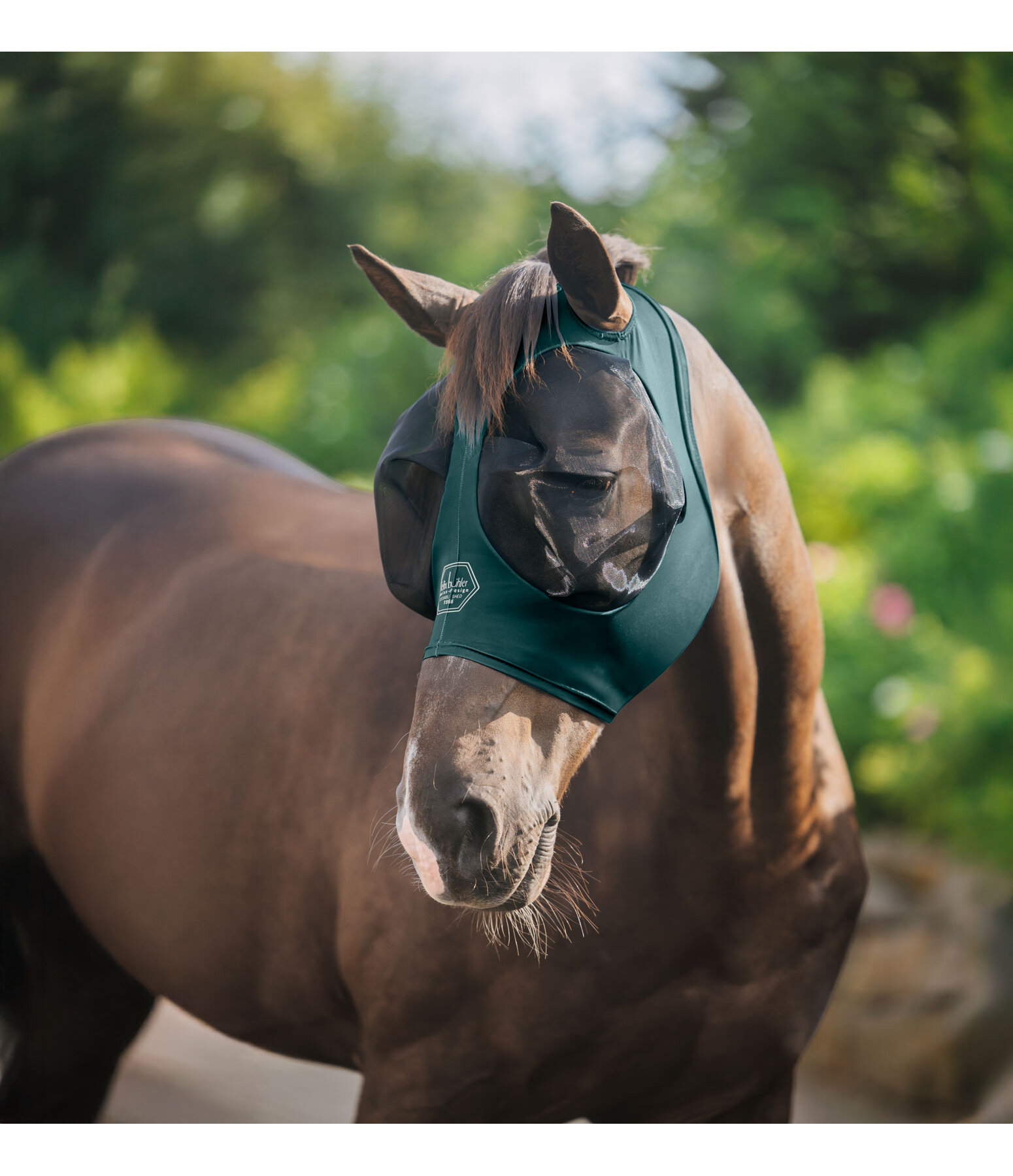 Fly Mask Stretch Comfort Ear Free with zip