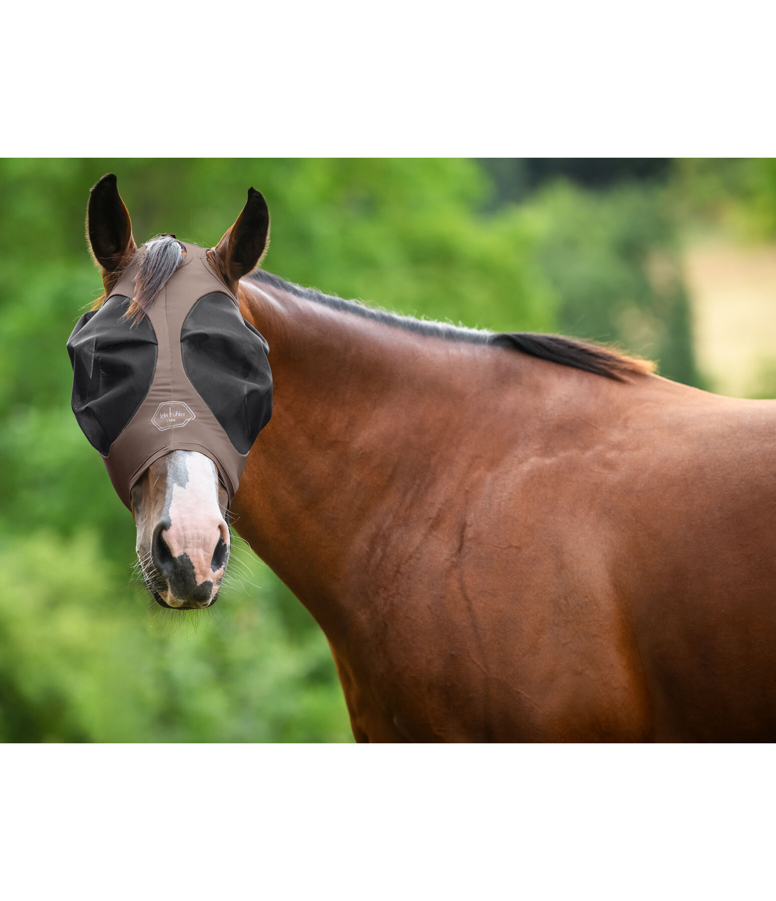 Fly Mask Stretch Comfort Ear Free with zip