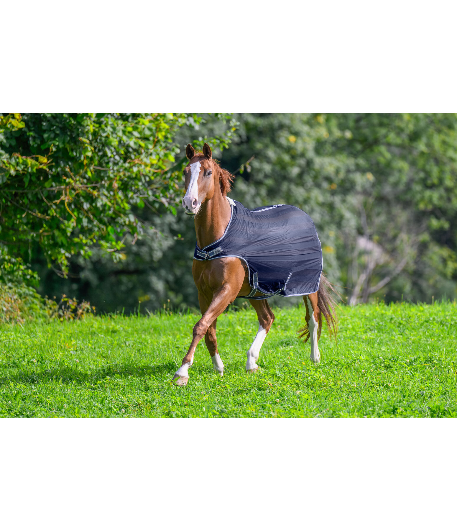 Fly Walker Economy Light