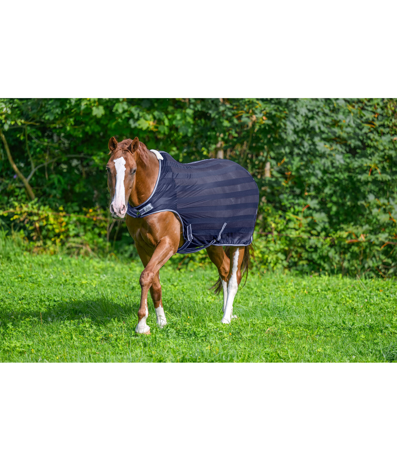 Fly Walker Economy Light