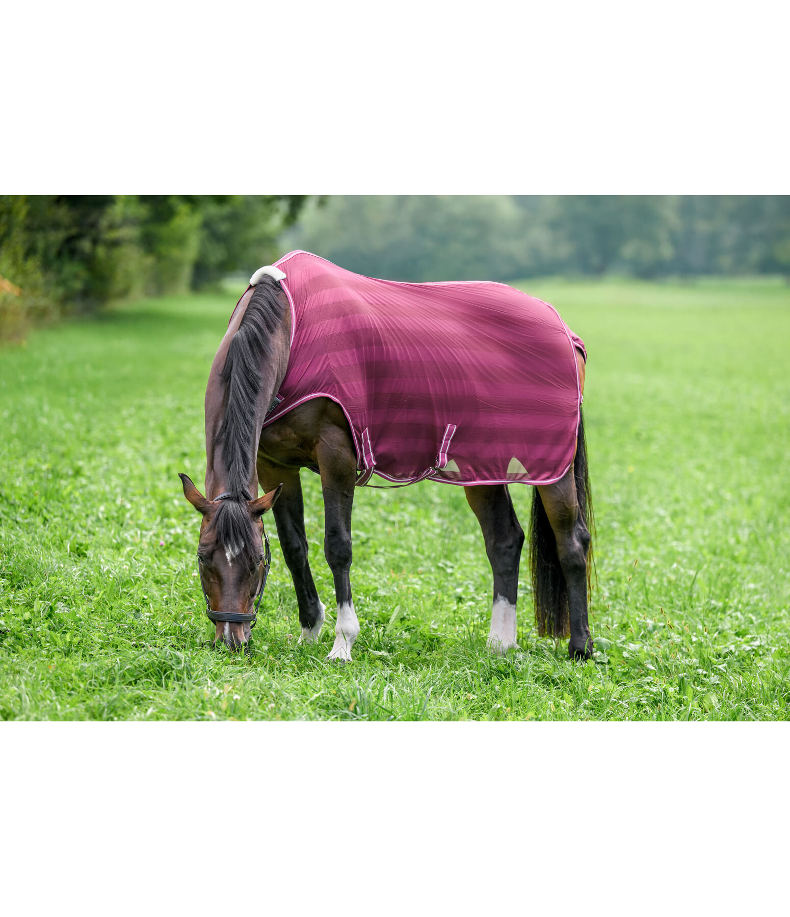 Fly Walker Economy Light