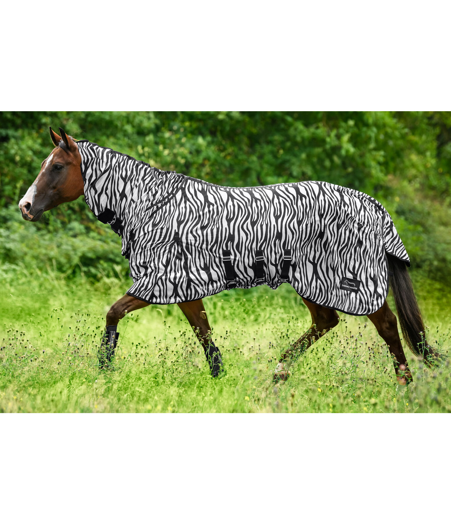 Fly Rug Zebra Combo with Belly Flap