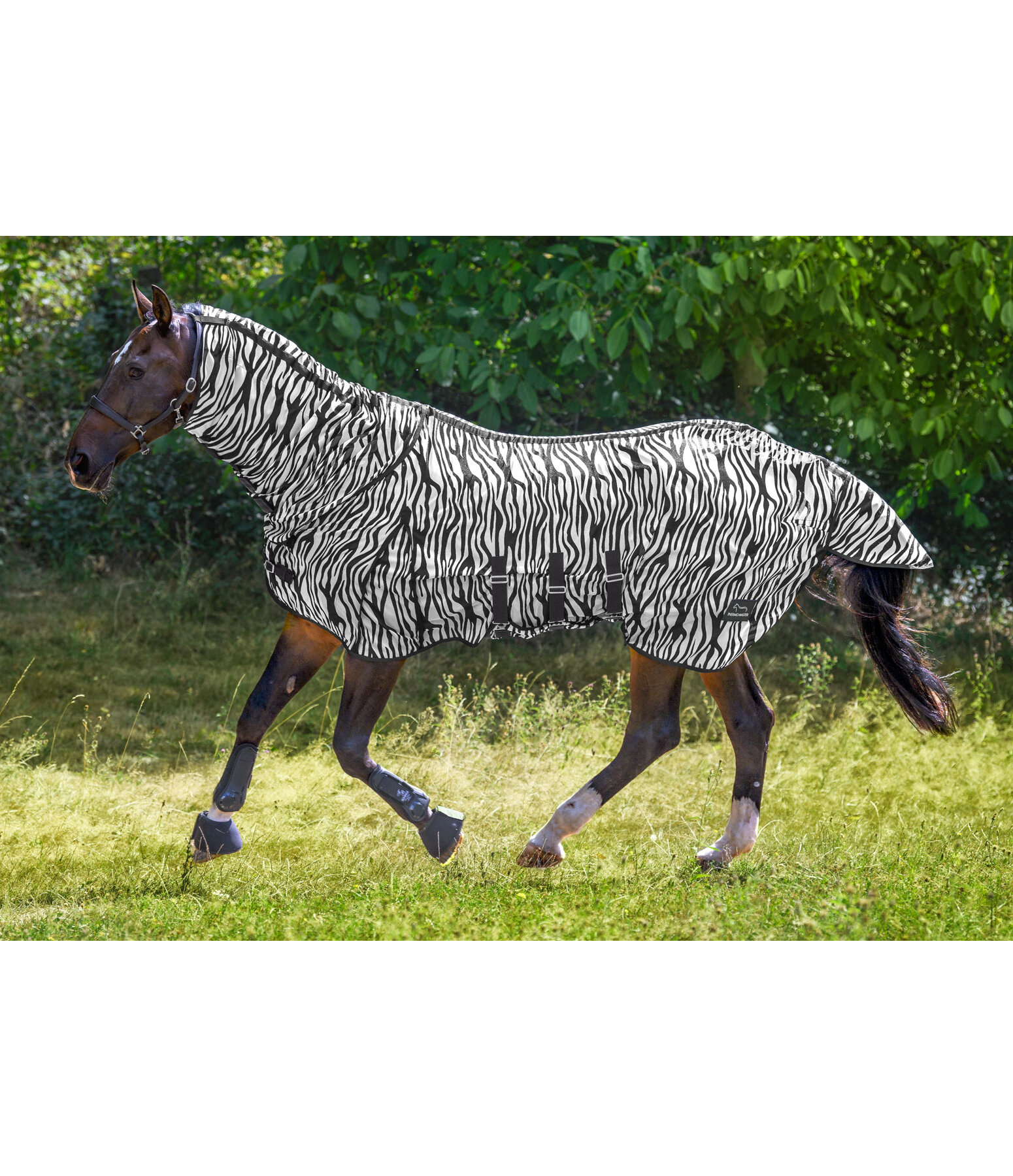 Fly Rug Zebra Combo with Belly Flap