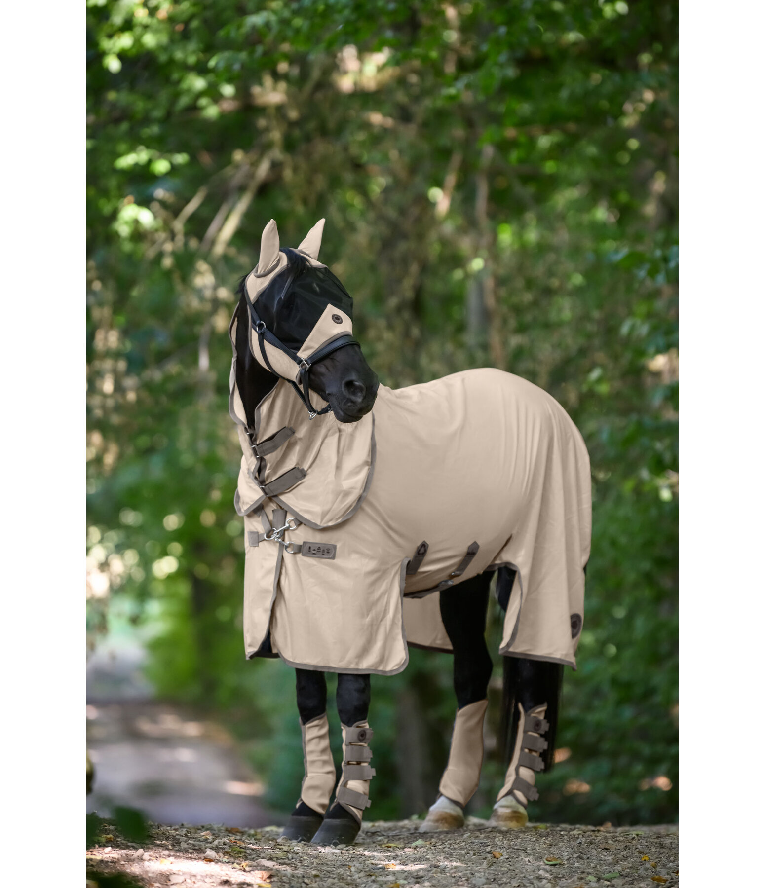 rPet Fullneck Fly Rug with Neck Piece Life Cycle