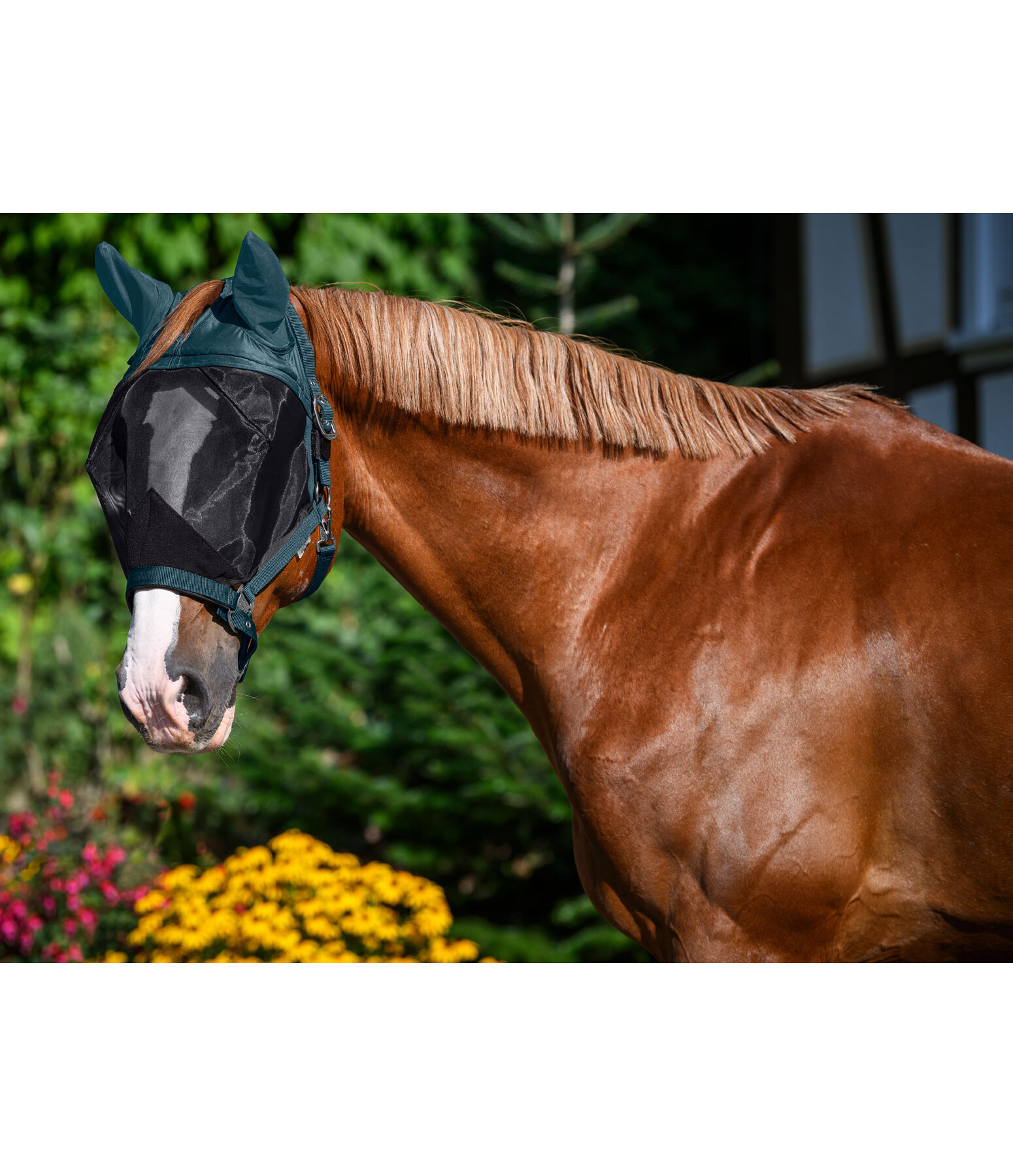 Fly Protection Headcollar with Integrated Fly Mask All-In-One