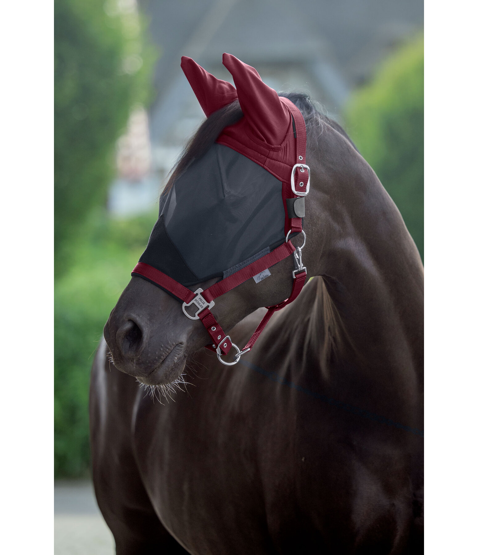 Fly Protection Headcollar with Integrated Fly Mask All-In-One