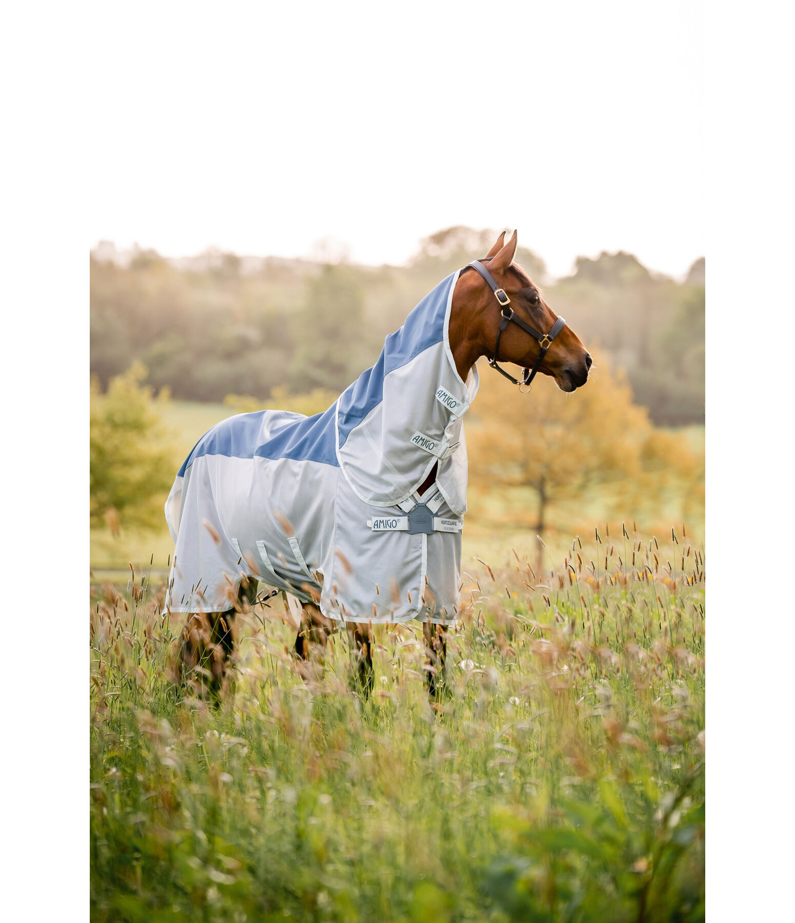 Amigo AmECO Fly Protection Rug Combi