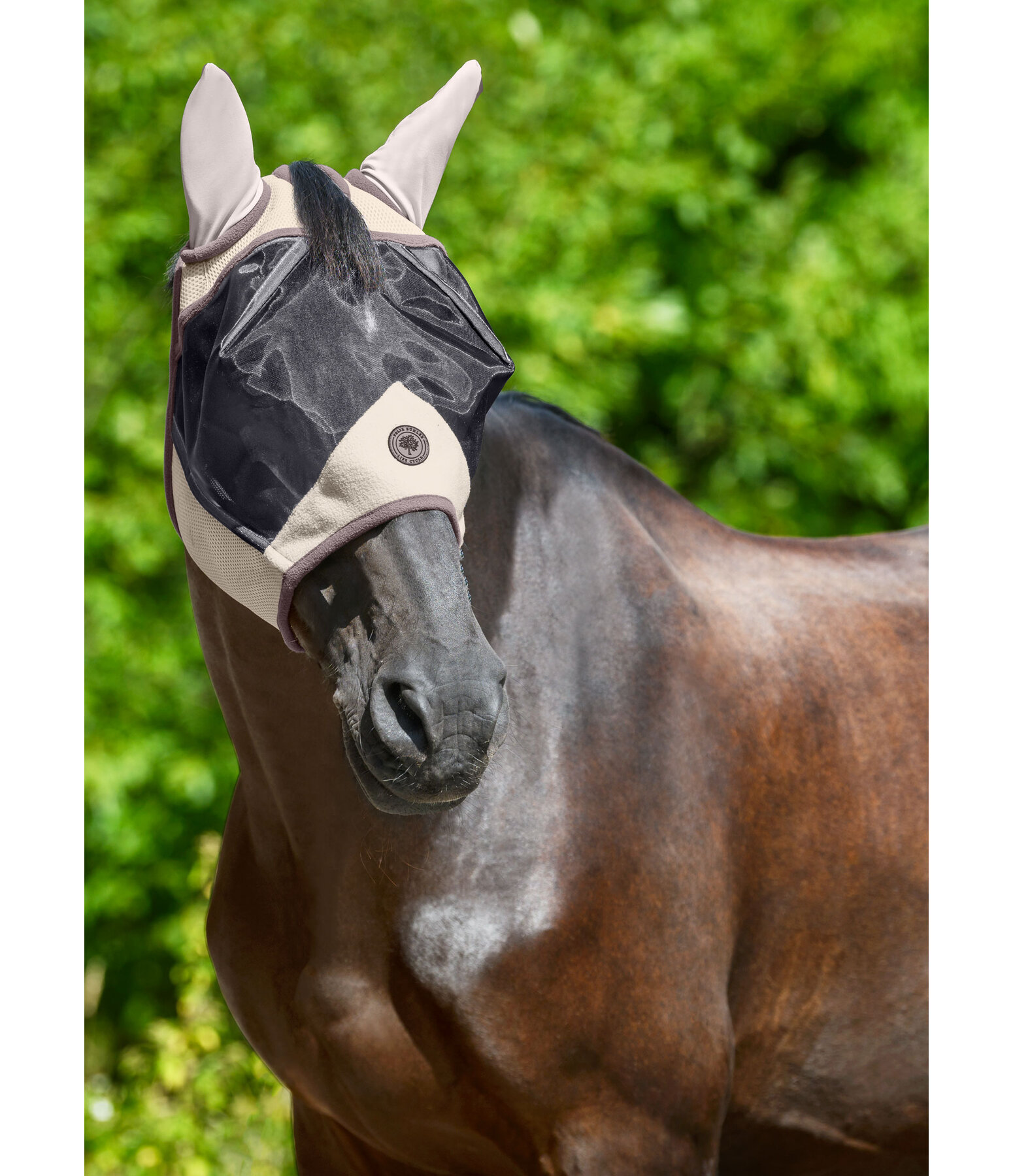 rPet Fly Mask Life Cycle