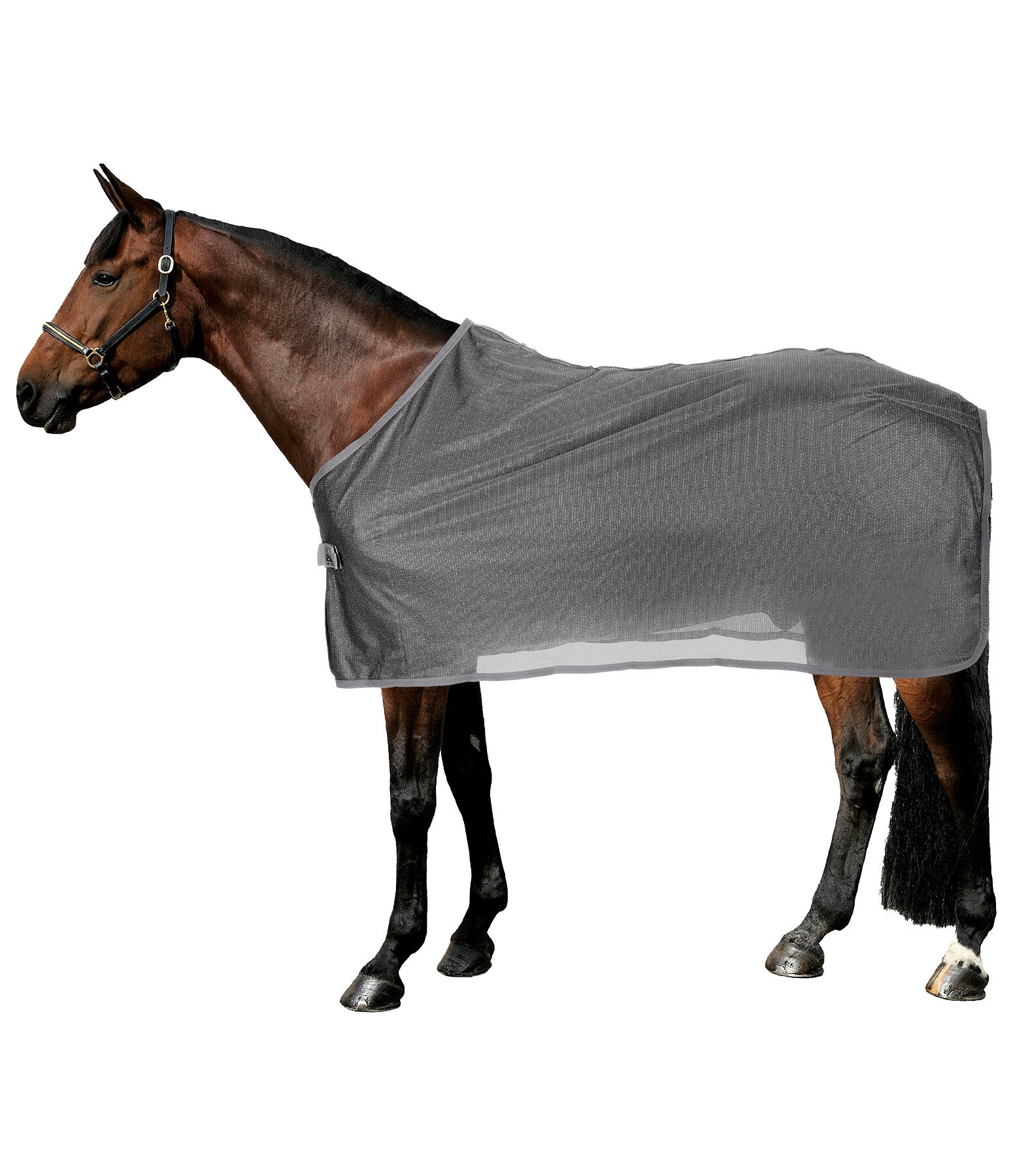 Fly Protection Throw Rug Crystal Fly