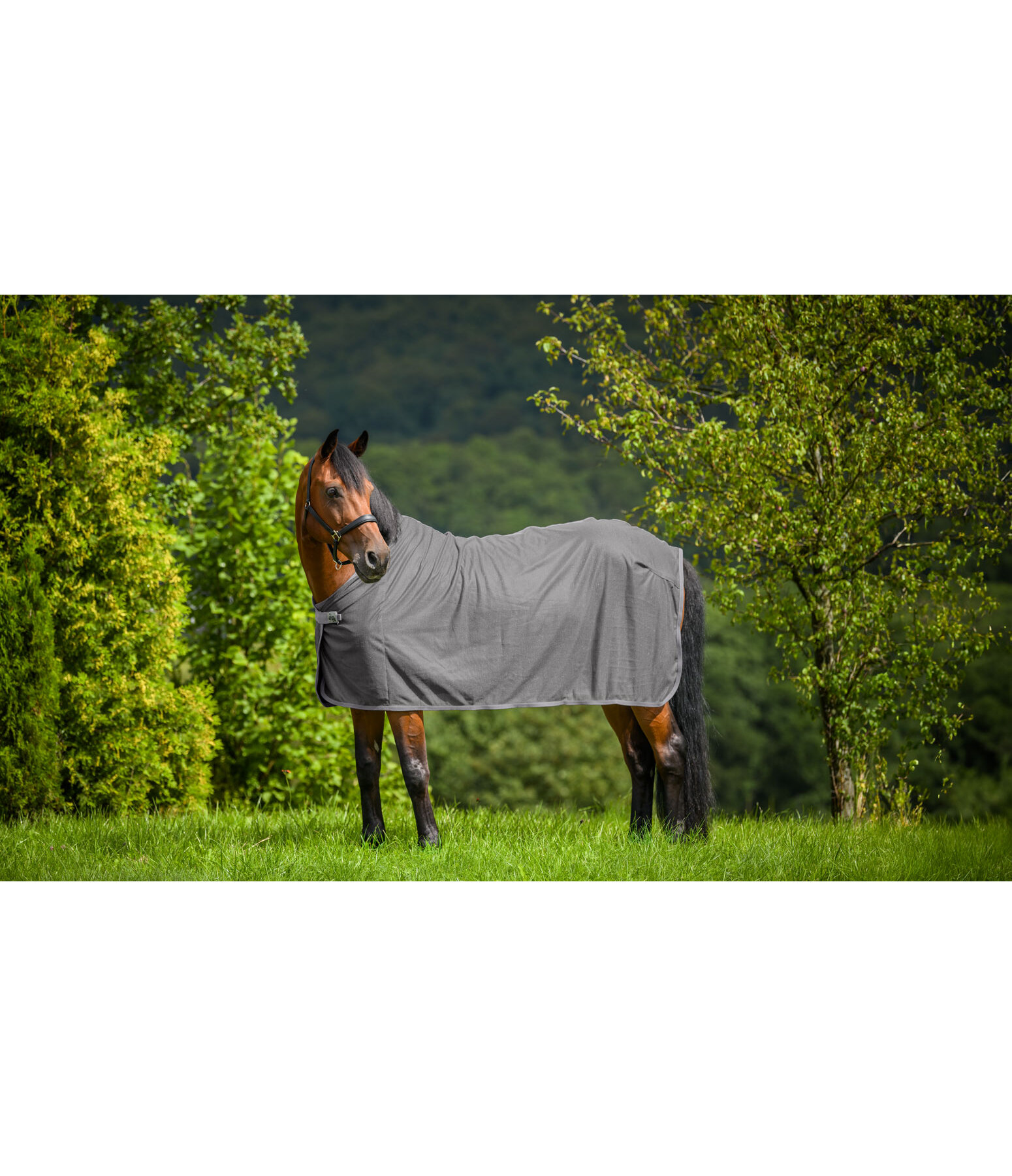 Fly Protection Throw Rug Crystal Fly