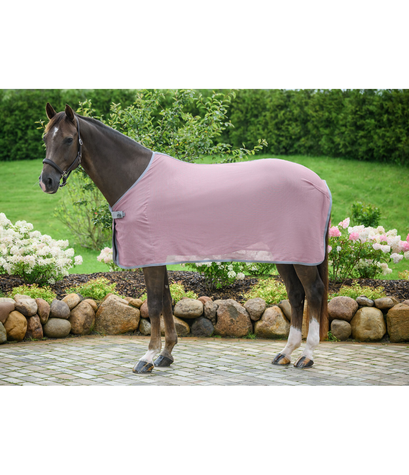 Fly Protection Throw Rug Crystal Fly