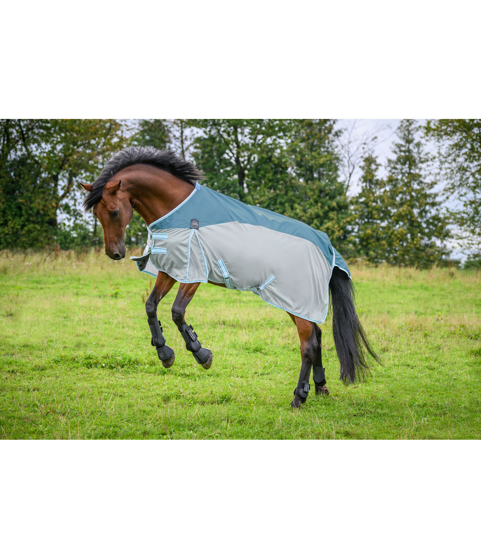 Fly Protection Combi Rug Kadir Fly