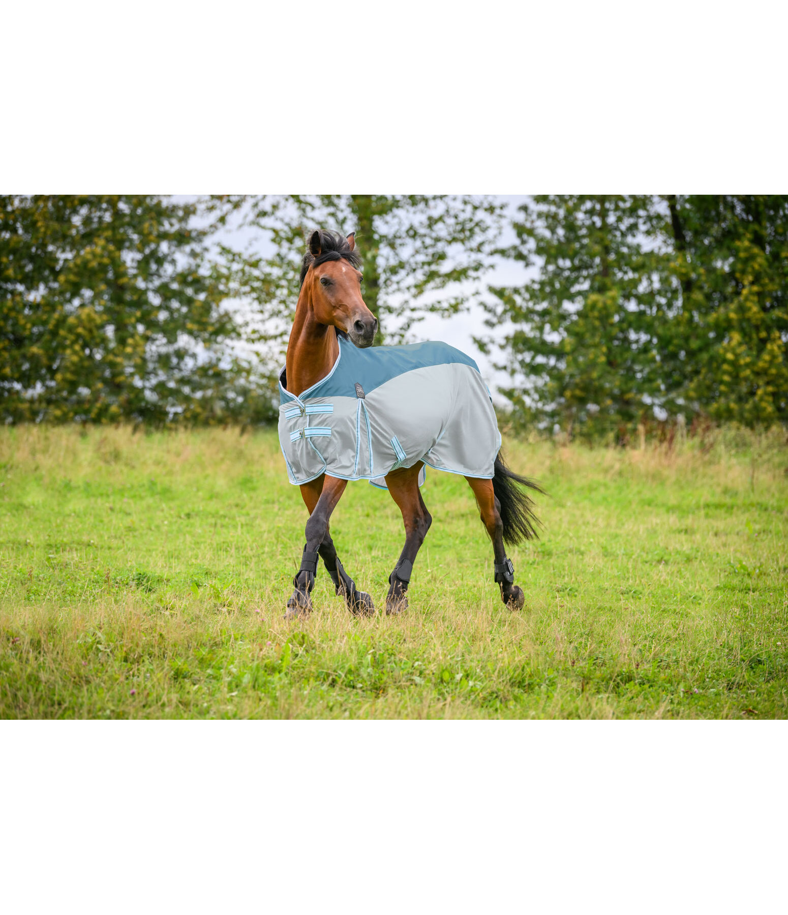 Fly Protection Combi Rug Kadir Fly