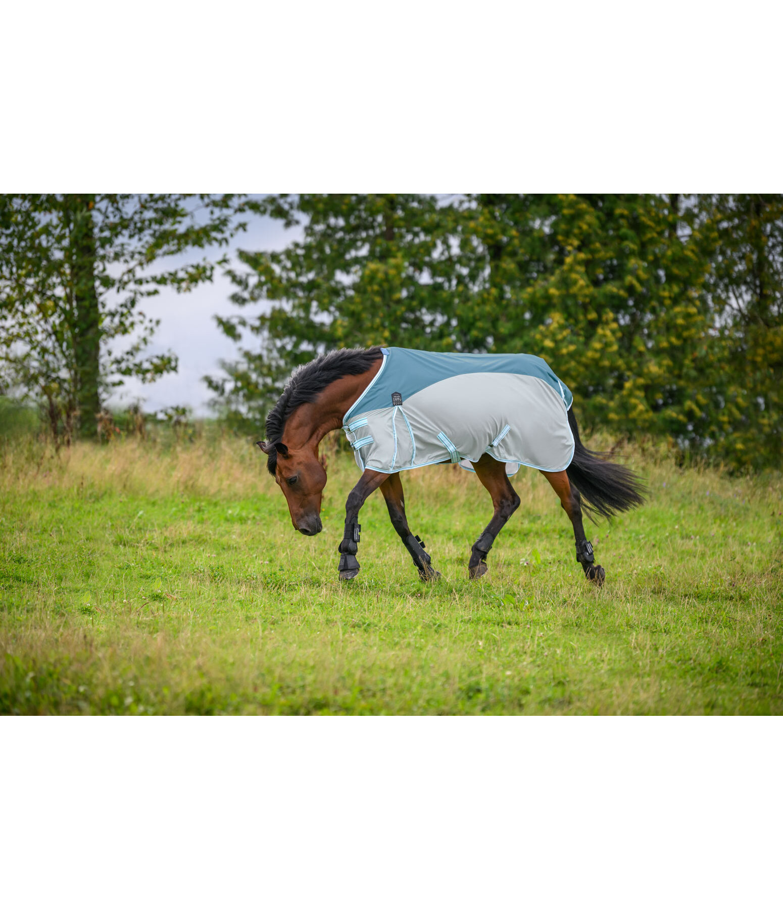 Fly Protection Combi Rug Kadir Fly