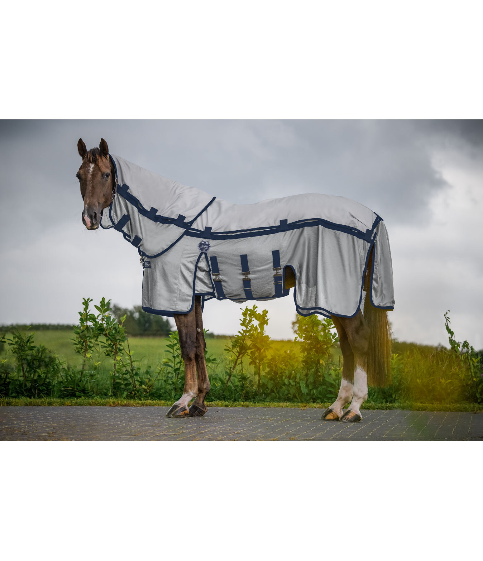 4 in 1 Full Neck Fly Rug All Weather II with removable rain cover