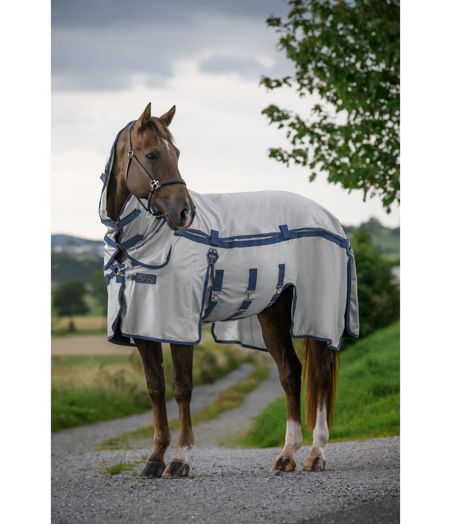 4-in-1 Full Neck Fly Rug All Weather II, with Removable Rain Cover
