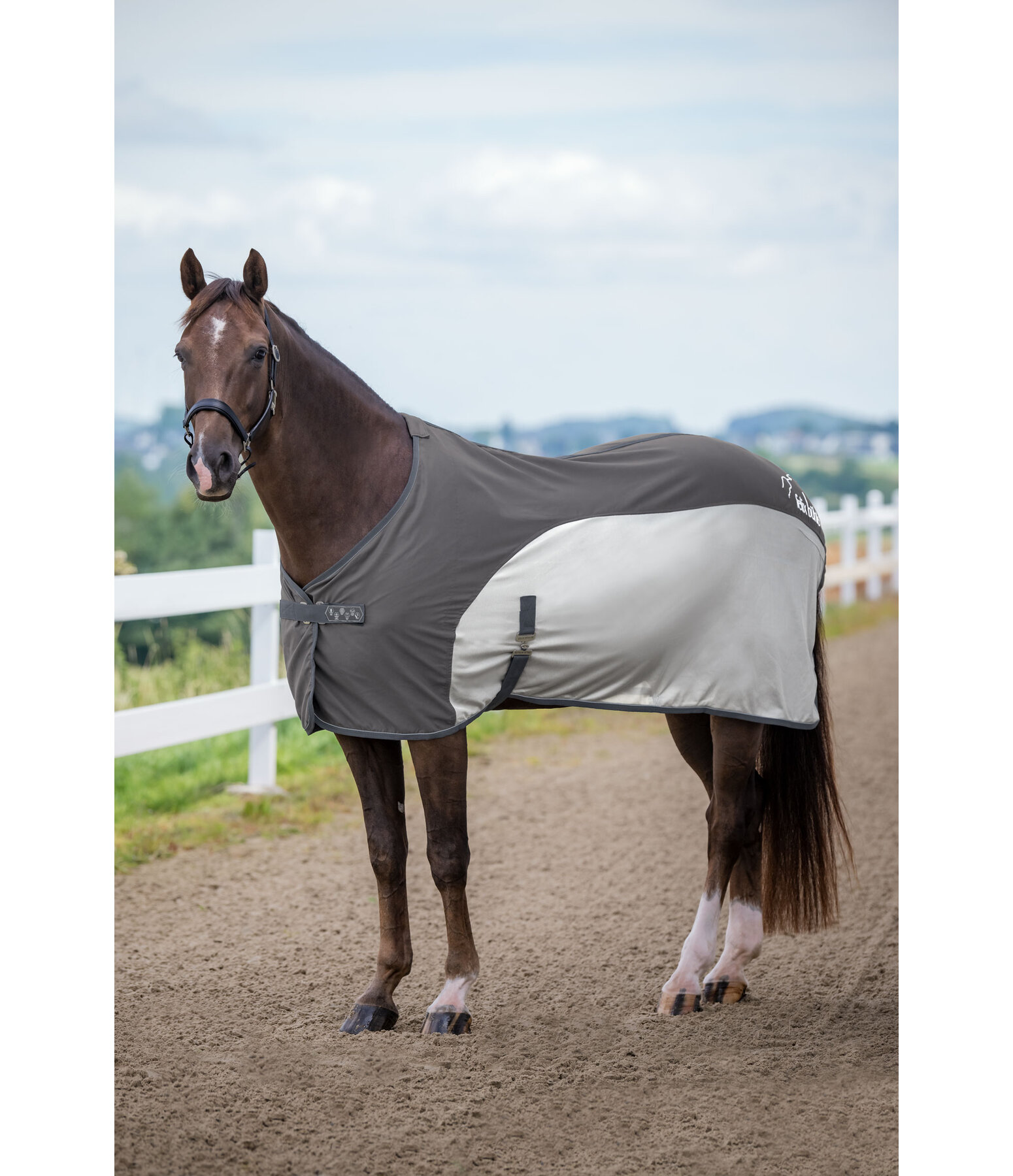 Fly and Travel Combi Rug Micro Fly