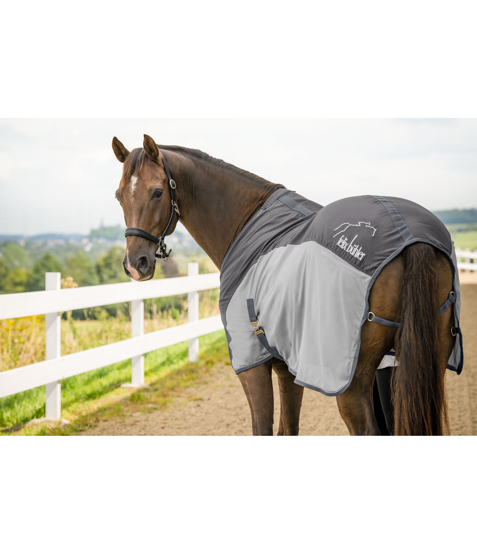 Fly and Travel Combi Rug Micro Fly