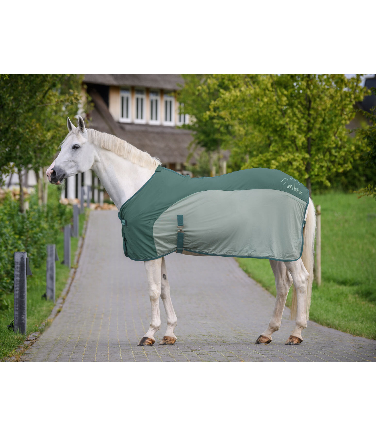 Fly and Travel Combi Rug Micro Fly