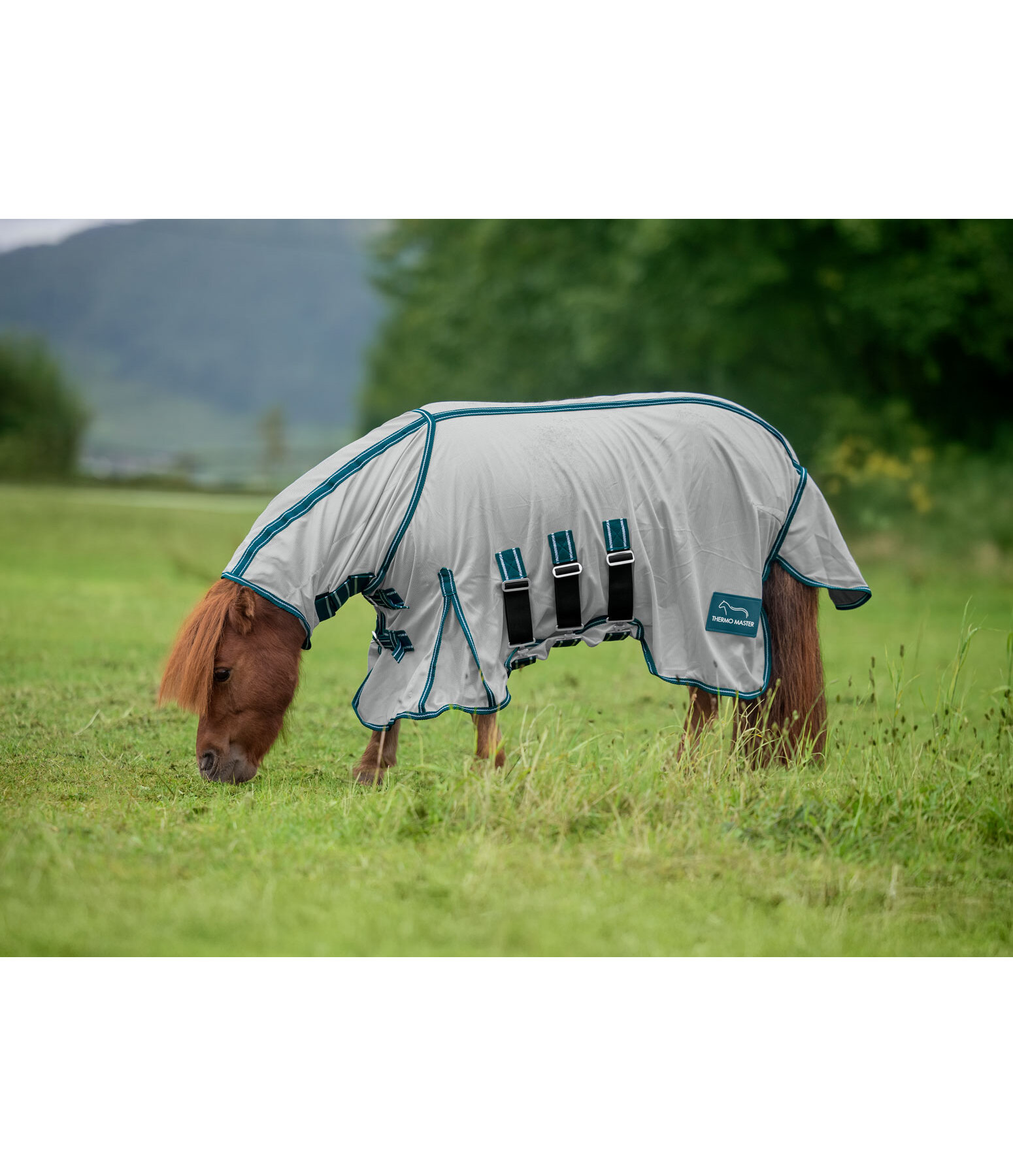 Fly Protection Rug Phileas