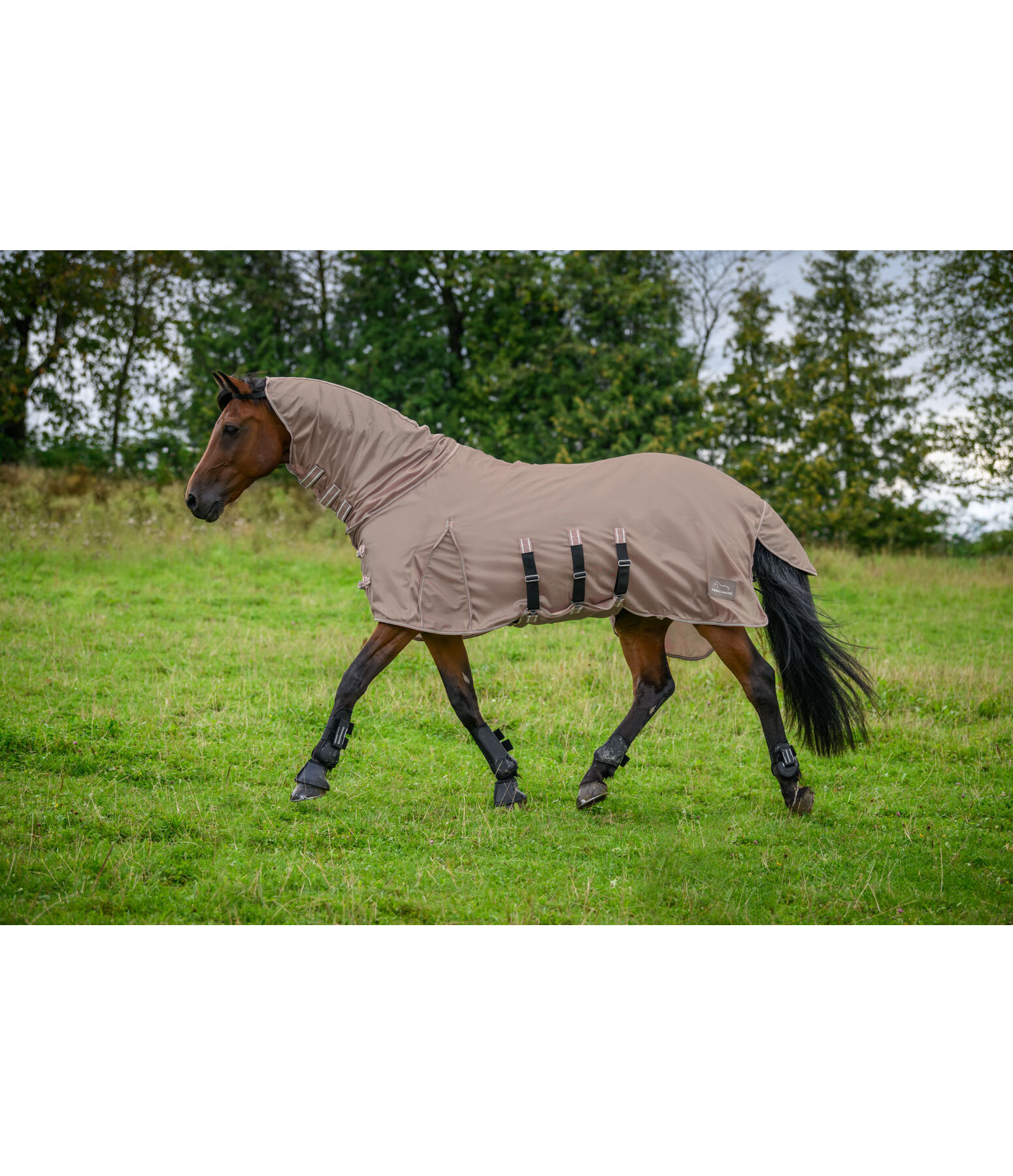 Fly Protection Rug Phileas