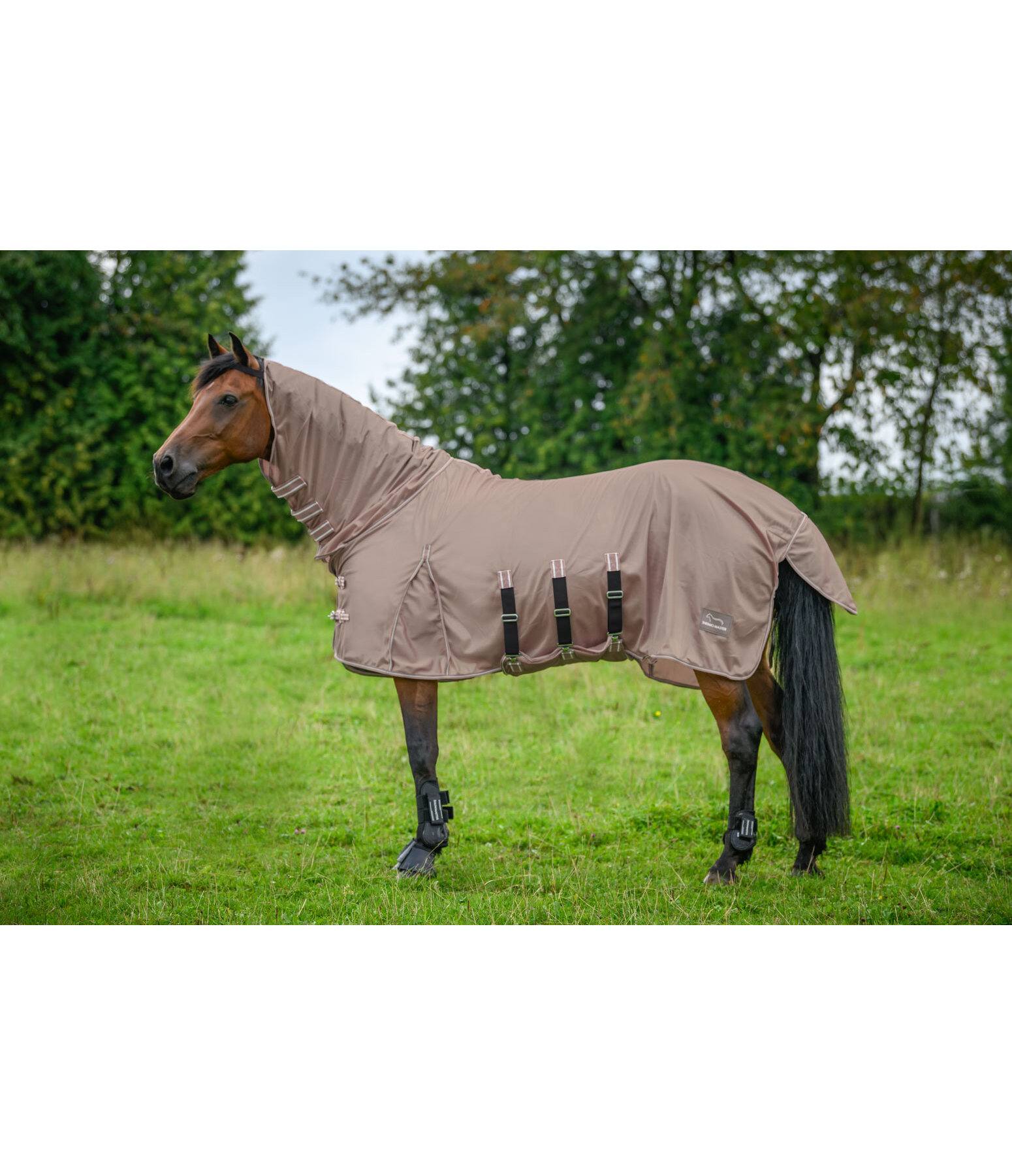 Fly Protection Rug Phileas