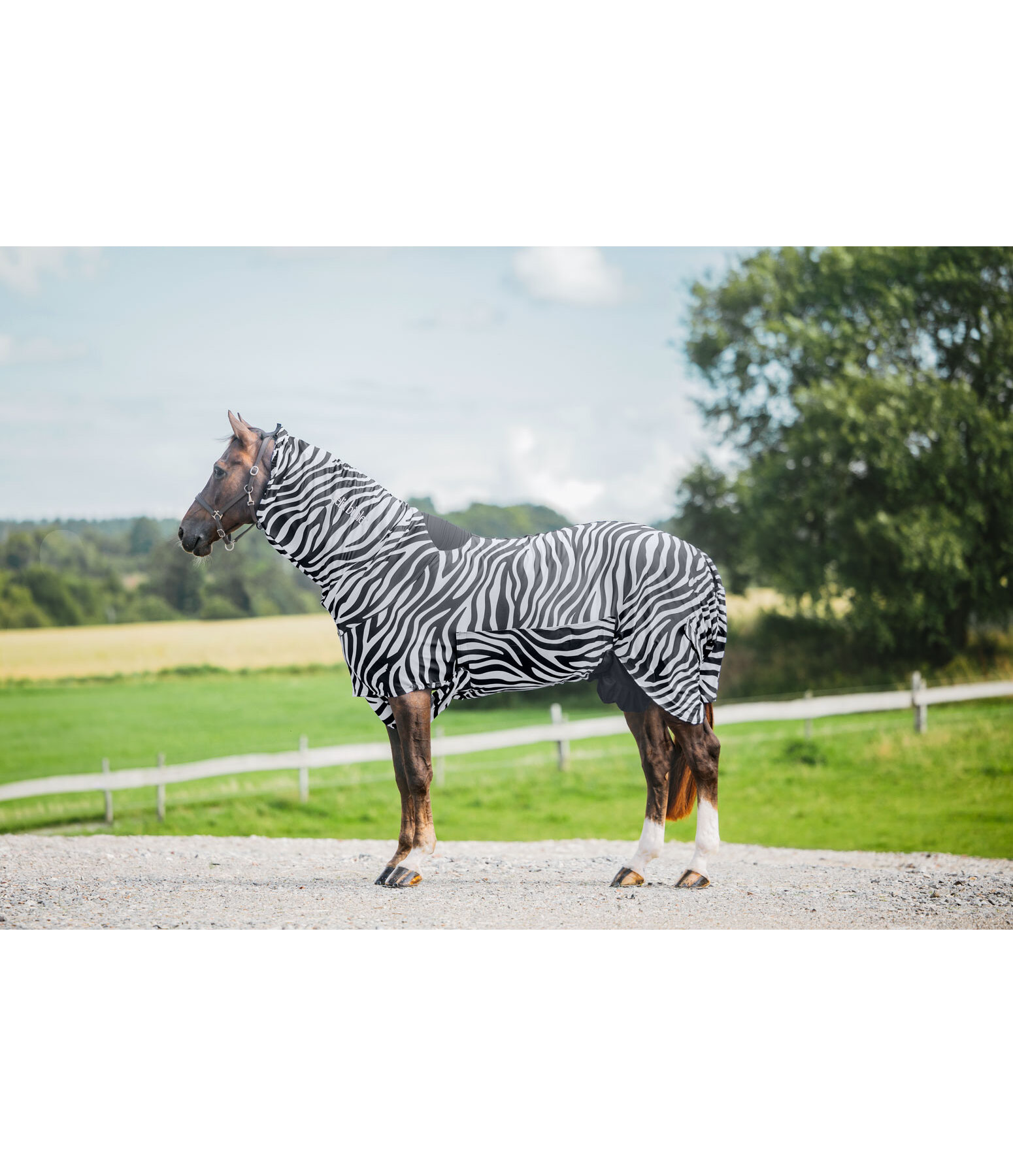 Zebra Sweet Itch Rug Gibson II