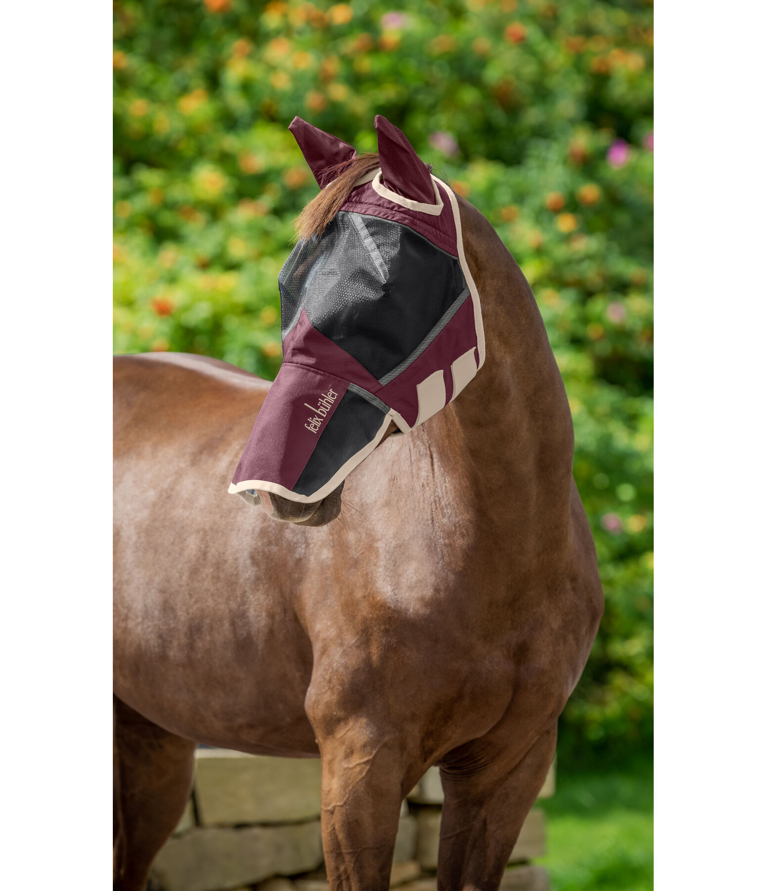 2 in 1 Fly Mask Sun Shield