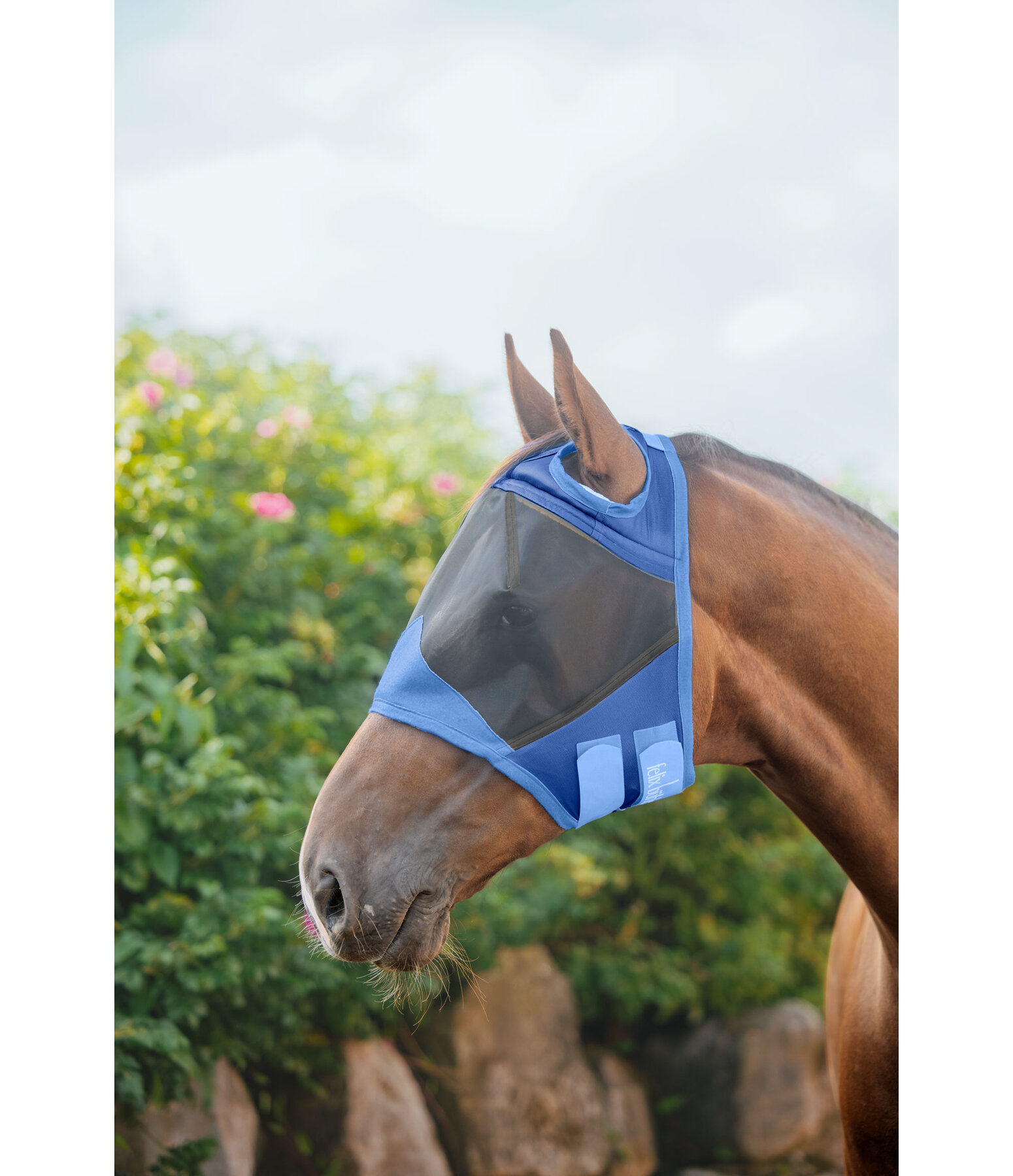 Fly Mask Basic Ear-Free