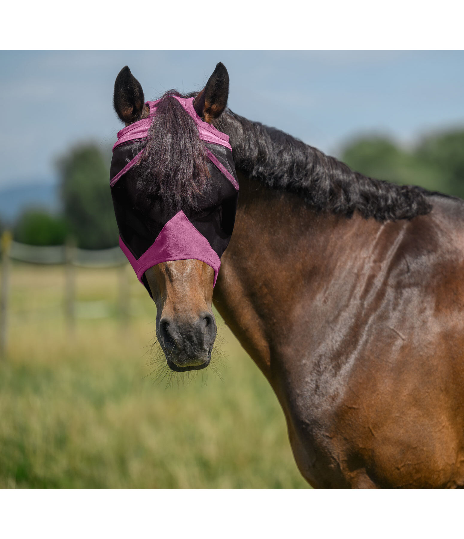 Fly Mask Basic Ear-Free