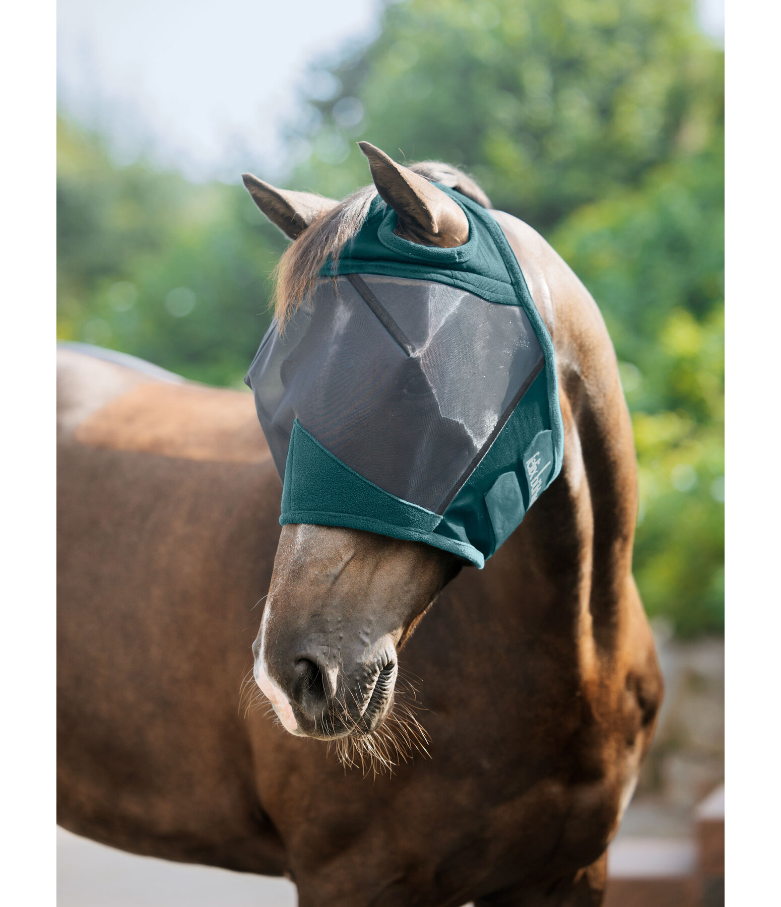 Fly Mask Basic Ear-Free