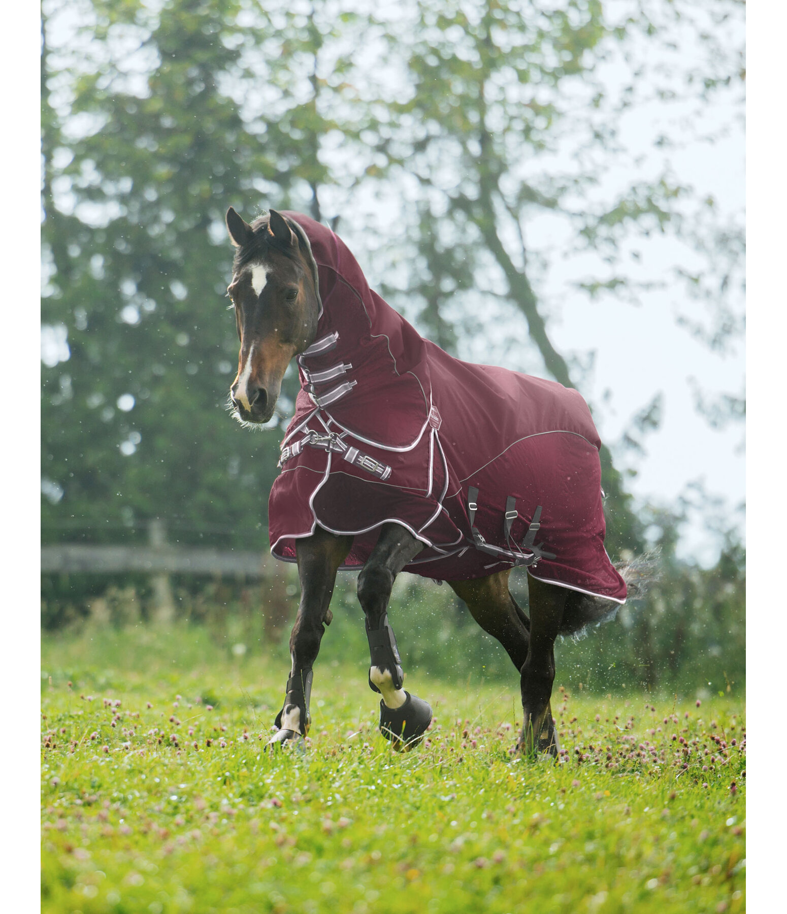 All-Weather Fly Rug Perfect Fit