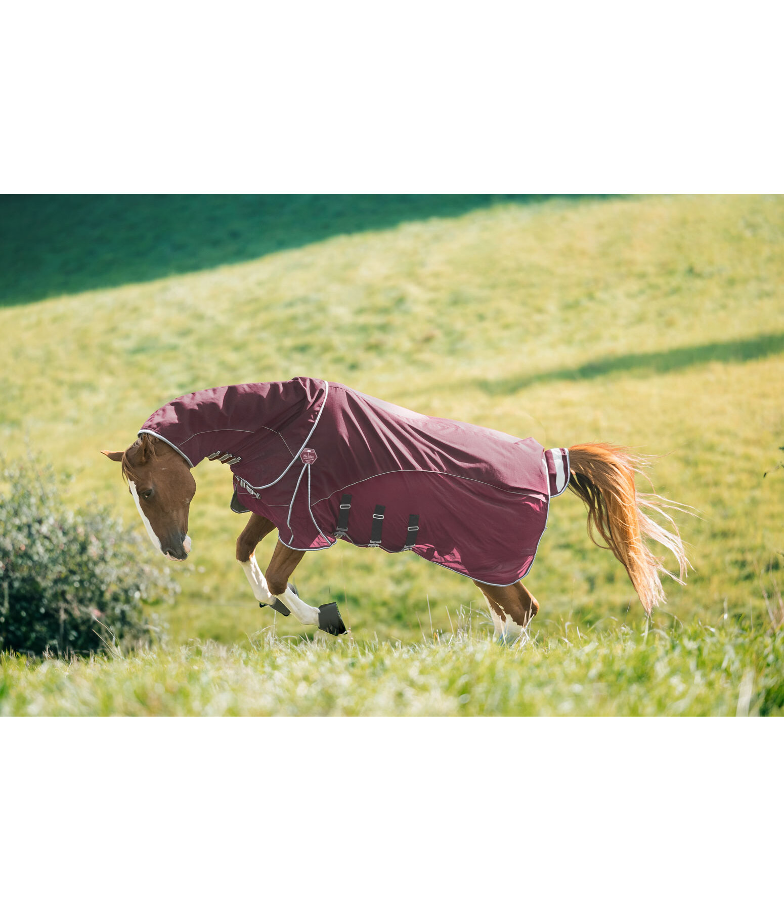 All-Weather Fly Rug Perfect Fit