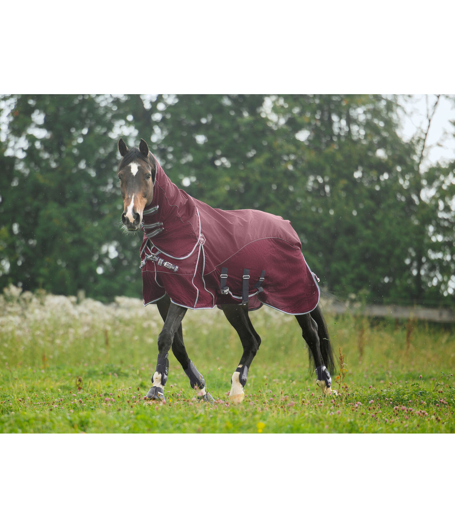 All-Weather Fly Rug Perfect Fit