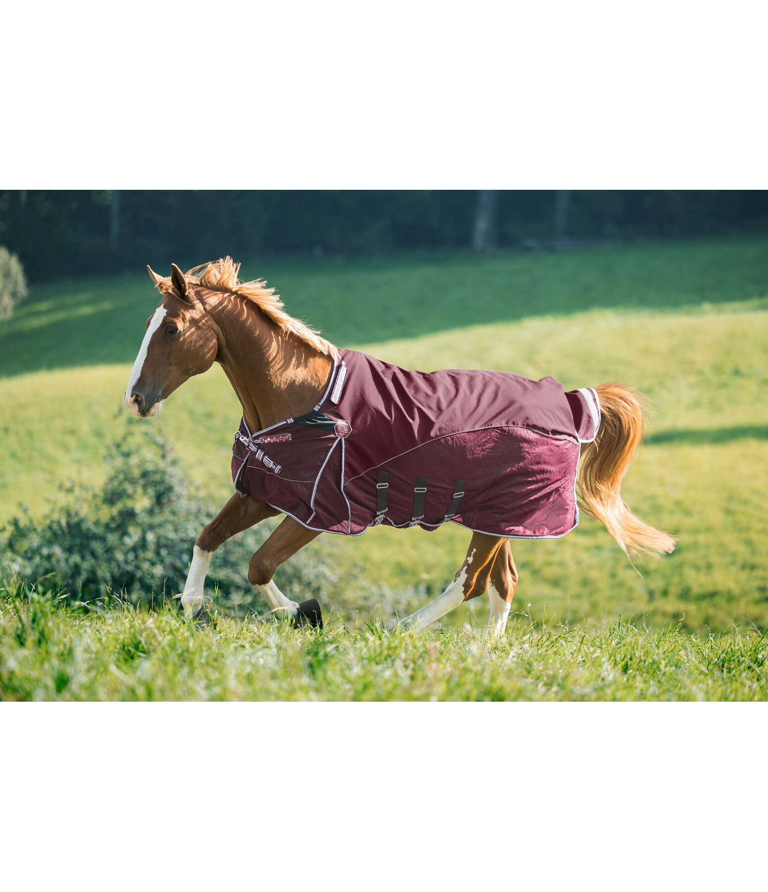 All-Weather Fly Rug Perfect Fit