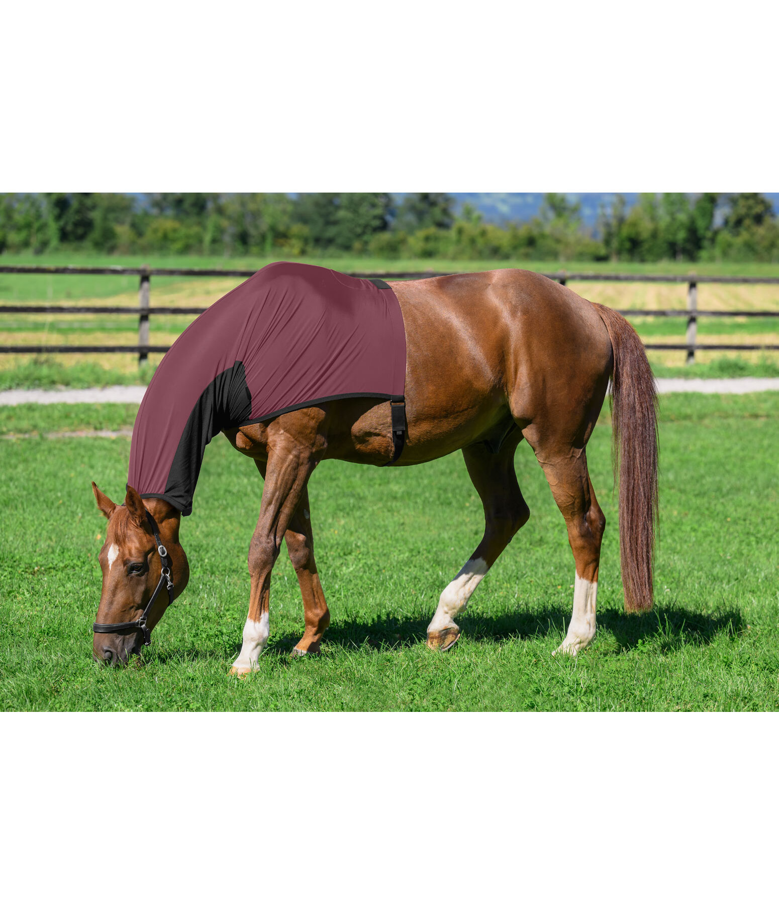 Fly and Sweet Itch Protection Neck Piece Stretch Comfort